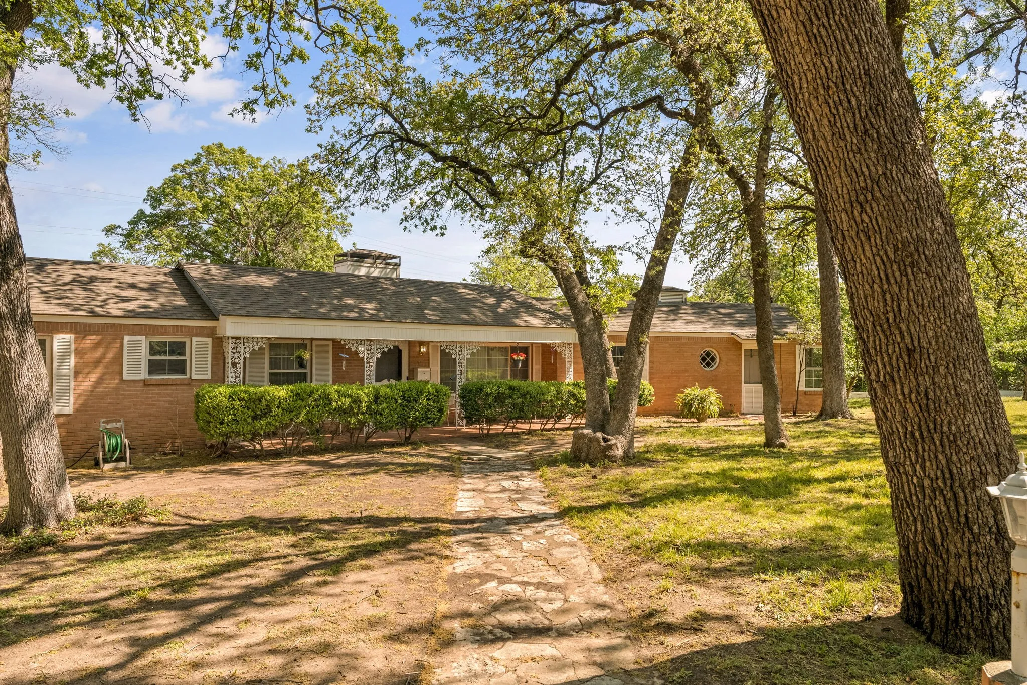 Mature Oaks