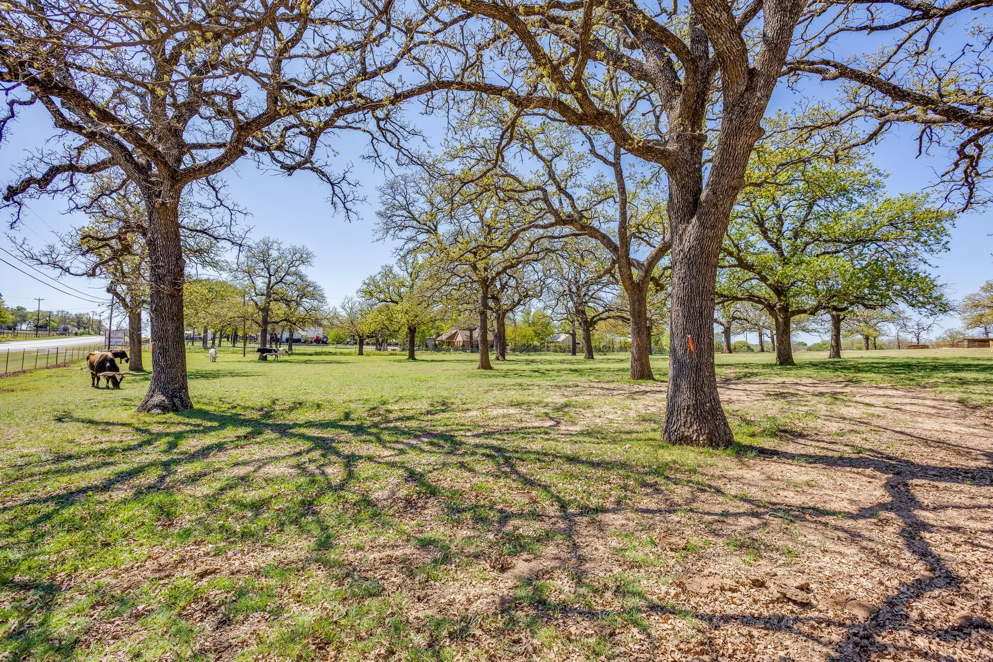 Office For Sale in Parker County , 2800 Ranger Highway, Weatherford, Texas 76088, 0, 0, Garage spaces, 0 Sqft, built in 2000, Preowned, Price $1,699,000, mls#21225186, Real Estate Agent in Weatherford, Homes For Sale in Parker county, Homes For Sale in Weatherford, Realtor in Weatherford Texas, Real Estate Brokerage Independent Realty Texas, Luminita Cordes Realtor