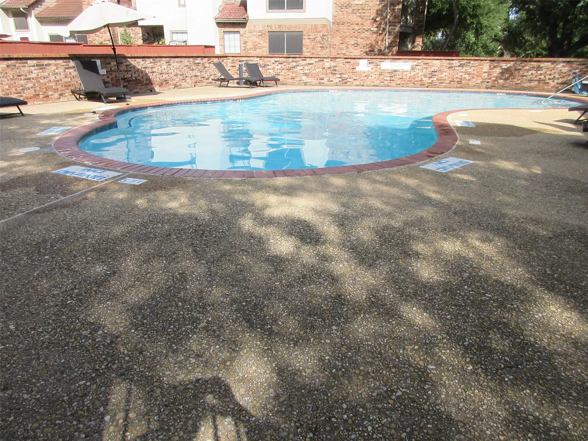 Cool refreshing pool