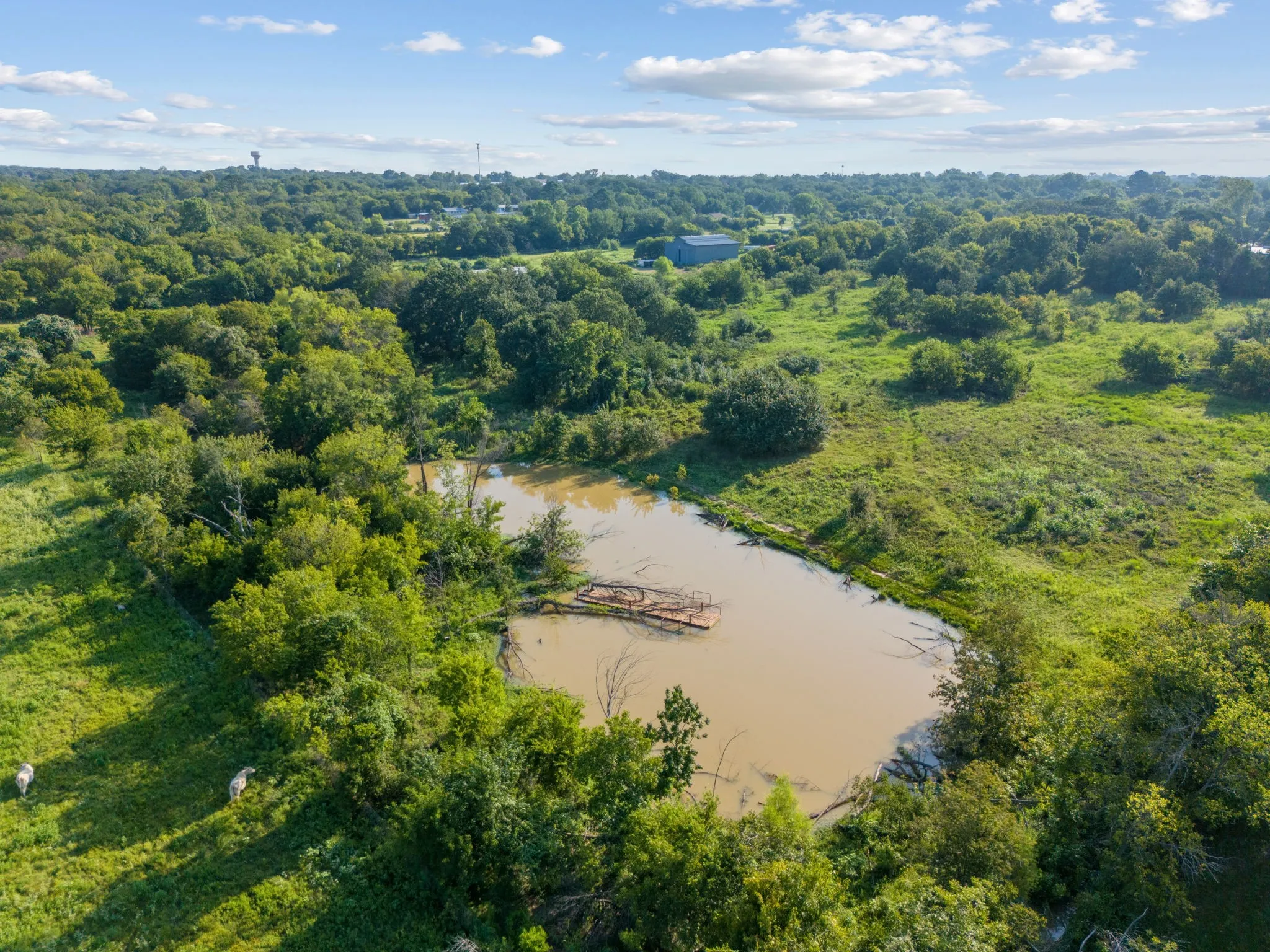 Improved Land For Sale in Johnson County , 334 Eddy Avenue, Joshua, Texas 76058, 0, 0, Garage spaces, 0 Sqft, built in 0, mls#21225305, Real Estate Agent in Joshua, Homes For Sale in Johnson county, Homes For Sale in Joshua, Realtor in Joshua Texas, Real Estate Brokerage Independent Realty Texas, Luminita Cordes Realtor