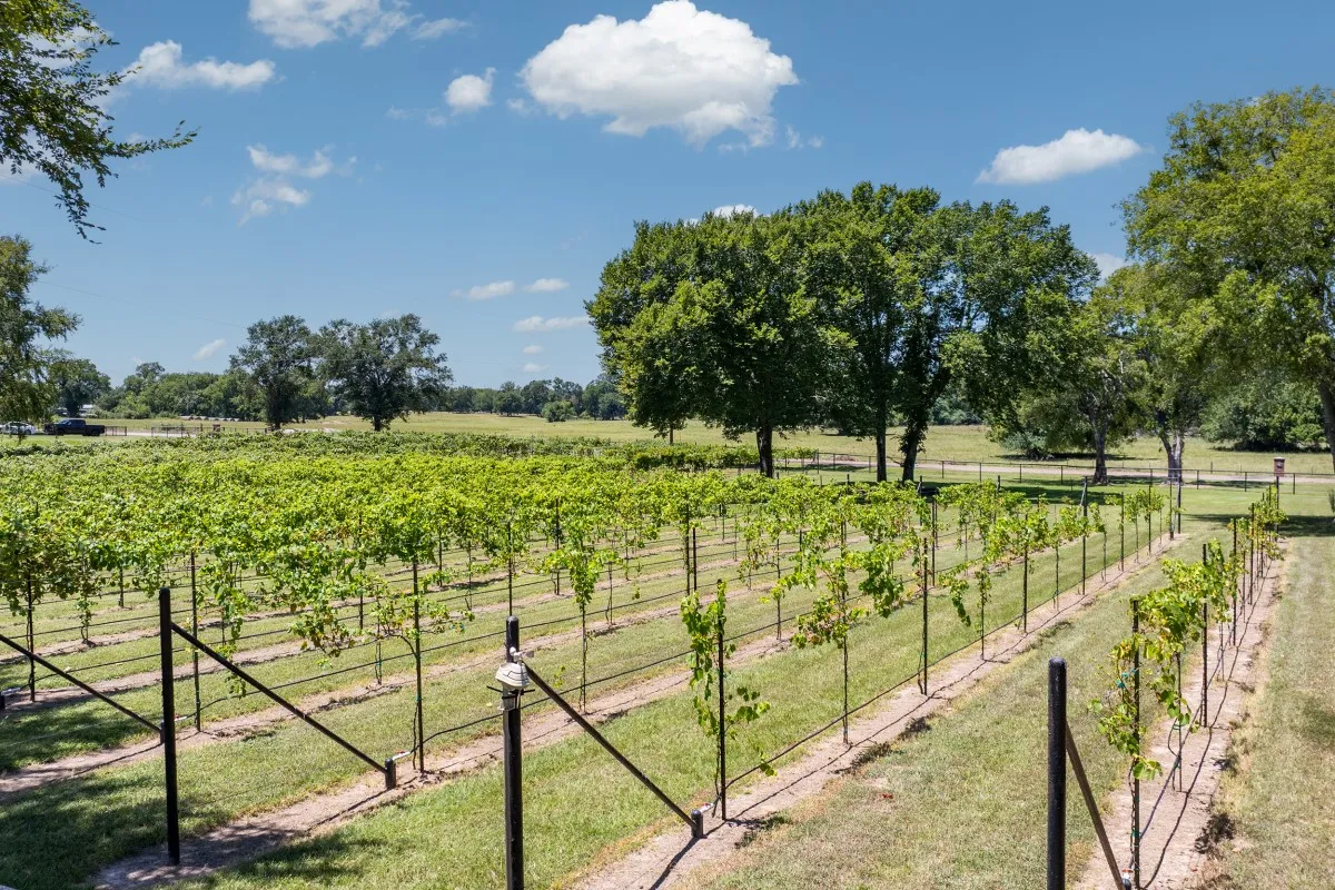 Single Family Residence For Sale in Van Zandt County , 1933 Vz County Road 2721, Mabank, Texas 75147, 5 Bedrooms, 4 Bathrooms, 3 Garage spaces, 3,433 Sqft, built in 1997, Price $1,695,000, mls#21225424, Real Estate Agent in Mabank, Homes For Sale in Van Zandt county, Homes For Sale in Mabank, Realtor in Mabank Texas, Real Estate Brokerage Independent Realty Texas, Luminita Cordes Realtor