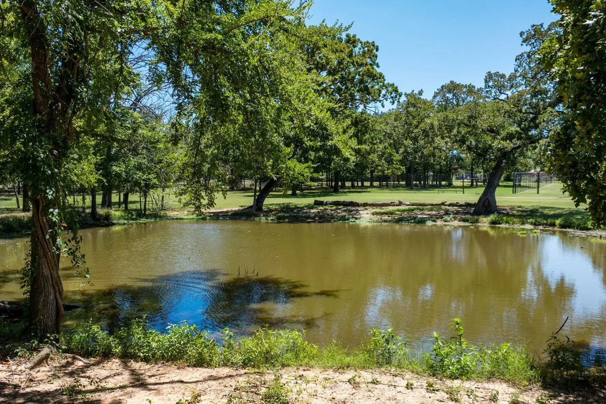 Single Family Residence For Sale in Van Zandt County , 1933 Vz County Road 2721, Mabank, Texas 75147, 5 Bedrooms, 4 Bathrooms, 3 Garage spaces, 3,433 Sqft, built in 1997, Price $1,695,000, mls#21225424, Real Estate Agent in Mabank, Homes For Sale in Van Zandt county, Homes For Sale in Mabank, Realtor in Mabank Texas, Real Estate Brokerage Independent Realty Texas, Luminita Cordes Realtor