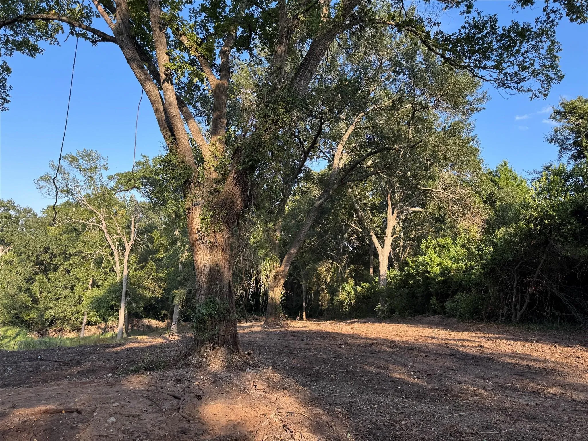 Unimproved Land For Sale in Henderson County , 0 N Prairieville, Athens, Texas 75751, 0, 0, Garage spaces, 0 Sqft, built in 0, mls#21225487, Real Estate Agent in Athens, Homes For Sale in Henderson county, Homes For Sale in Athens, Realtor in Athens Texas, Real Estate Brokerage Independent Realty Texas, Luminita Cordes Realtor