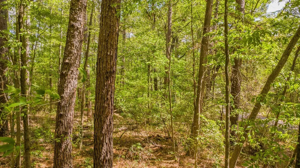 Unimproved Land For Sale in Smith County , 1723 Pineview Lane, Hideaway, Texas 75771, 0, 0, Garage spaces, 0 Sqft, built in 0, mls#21225535, Real Estate Agent in Hideaway, Homes For Sale in Smith county, Homes For Sale in Hideaway, Realtor in Hideaway Texas, Real Estate Brokerage Independent Realty Texas, Luminita Cordes Realtor