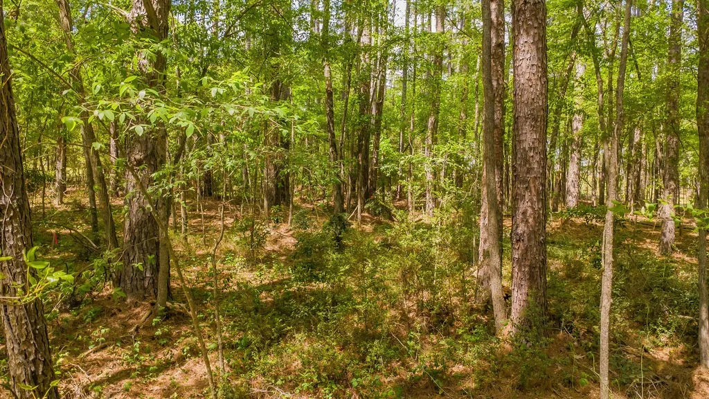 Unimproved Land For Sale in Smith County , 1723 Pineview Lane, Hideaway, Texas 75771, 0, 0, Garage spaces, 0 Sqft, built in 0, mls#21225535, Real Estate Agent in Hideaway, Homes For Sale in Smith county, Homes For Sale in Hideaway, Realtor in Hideaway Texas, Real Estate Brokerage Independent Realty Texas, Luminita Cordes Realtor