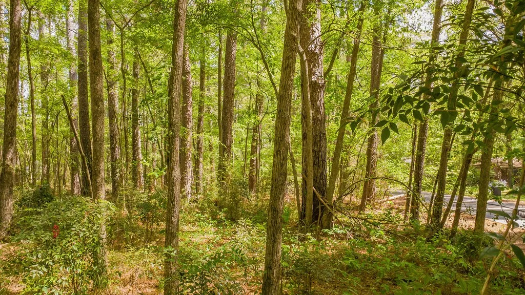 Unimproved Land For Sale in Smith County , 1723 Pineview Lane, Hideaway, Texas 75771, 0, 0, Garage spaces, 0 Sqft, built in 0, mls#21225535, Real Estate Agent in Hideaway, Homes For Sale in Smith county, Homes For Sale in Hideaway, Realtor in Hideaway Texas, Real Estate Brokerage Independent Realty Texas, Luminita Cordes Realtor