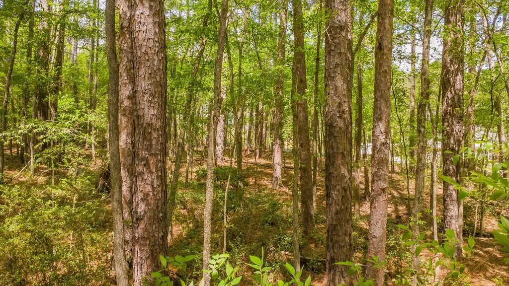 Unimproved Land For Sale in Smith County , 1723 Pineview Lane, Hideaway, Texas 75771, 0, 0, Garage spaces, 0 Sqft, built in 0, mls#21225535, Real Estate Agent in Hideaway, Homes For Sale in Smith county, Homes For Sale in Hideaway, Realtor in Hideaway Texas, Real Estate Brokerage Independent Realty Texas, Luminita Cordes Realtor