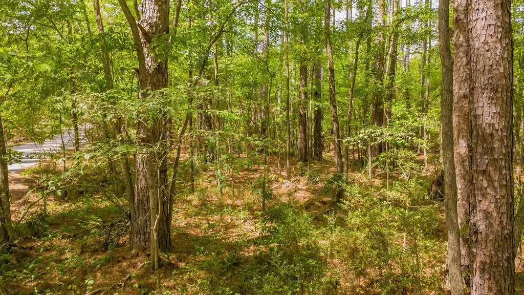 Unimproved Land For Sale in Smith County , 1723 Pineview Lane, Hideaway, Texas 75771, 0, 0, Garage spaces, 0 Sqft, built in 0, mls#21225535, Real Estate Agent in Hideaway, Homes For Sale in Smith county, Homes For Sale in Hideaway, Realtor in Hideaway Texas, Real Estate Brokerage Independent Realty Texas, Luminita Cordes Realtor