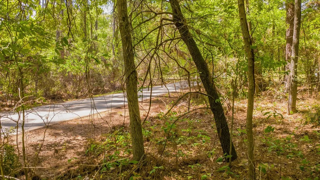 Unimproved Land For Sale in Smith County , 1723 Pineview Lane, Hideaway, Texas 75771, 0, 0, Garage spaces, 0 Sqft, built in 0, mls#21225535, Real Estate Agent in Hideaway, Homes For Sale in Smith county, Homes For Sale in Hideaway, Realtor in Hideaway Texas, Real Estate Brokerage Independent Realty Texas, Luminita Cordes Realtor