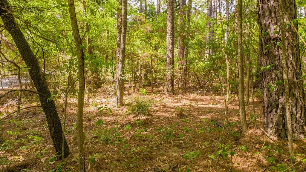 Unimproved Land For Sale in Smith County , 1723 Pineview Lane, Hideaway, Texas 75771, 0, 0, Garage spaces, 0 Sqft, built in 0, mls#21225535, Real Estate Agent in Hideaway, Homes For Sale in Smith county, Homes For Sale in Hideaway, Realtor in Hideaway Texas, Real Estate Brokerage Independent Realty Texas, Luminita Cordes Realtor