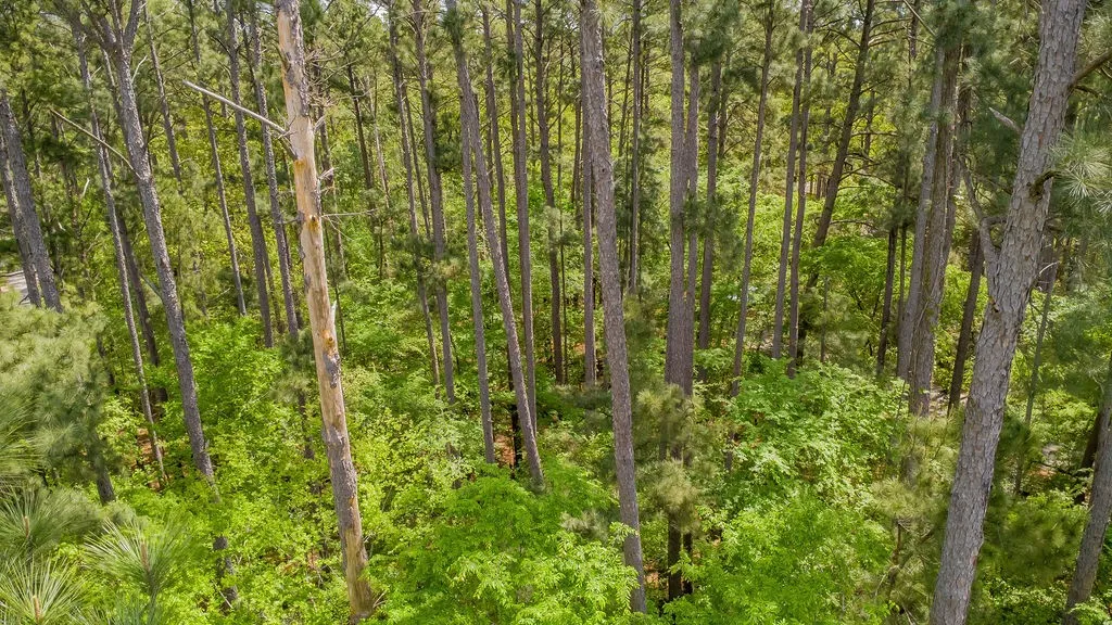 Unimproved Land For Sale in Smith County , 1723 Pineview Lane, Hideaway, Texas 75771, 0, 0, Garage spaces, 0 Sqft, built in 0, mls#21225535, Real Estate Agent in Hideaway, Homes For Sale in Smith county, Homes For Sale in Hideaway, Realtor in Hideaway Texas, Real Estate Brokerage Independent Realty Texas, Luminita Cordes Realtor