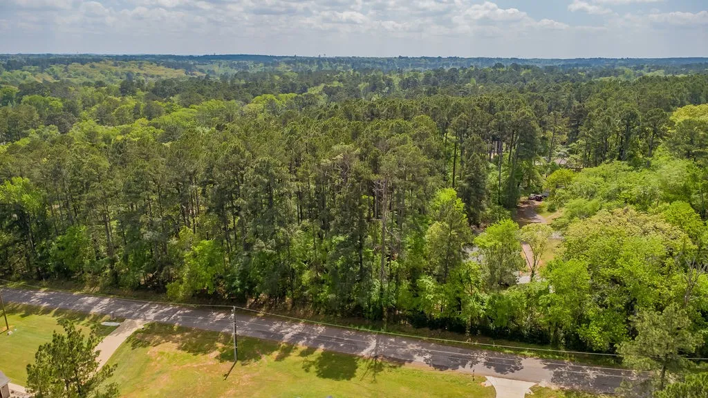 Unimproved Land For Sale in Smith County , 1723 Pineview Lane, Hideaway, Texas 75771, 0, 0, Garage spaces, 0 Sqft, built in 0, mls#21225535, Real Estate Agent in Hideaway, Homes For Sale in Smith county, Homes For Sale in Hideaway, Realtor in Hideaway Texas, Real Estate Brokerage Independent Realty Texas, Luminita Cordes Realtor