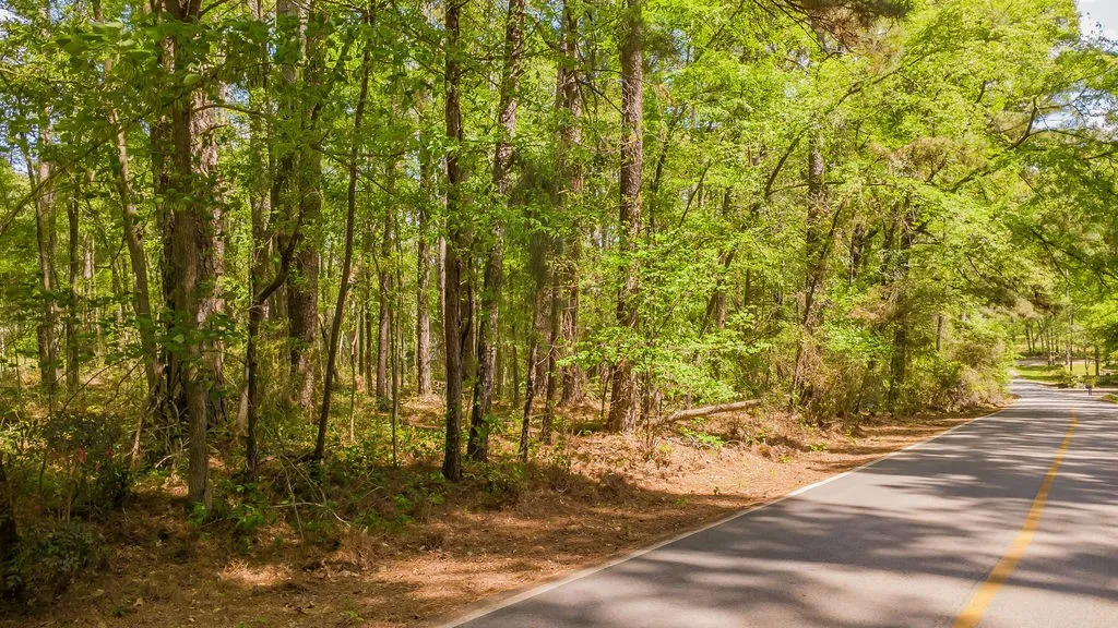 Unimproved Land For Sale in Smith County , 1723 Pineview Lane, Hideaway, Texas 75771, 0, 0, Garage spaces, 0 Sqft, built in 0, mls#21225535, Real Estate Agent in Hideaway, Homes For Sale in Smith county, Homes For Sale in Hideaway, Realtor in Hideaway Texas, Real Estate Brokerage Independent Realty Texas, Luminita Cordes Realtor