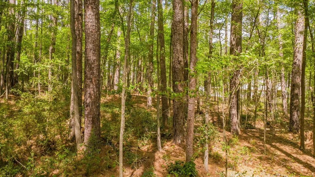 Unimproved Land For Sale in Smith County , 1723 Pineview Lane, Hideaway, Texas 75771, 0, 0, Garage spaces, 0 Sqft, built in 0, mls#21225535, Real Estate Agent in Hideaway, Homes For Sale in Smith county, Homes For Sale in Hideaway, Realtor in Hideaway Texas, Real Estate Brokerage Independent Realty Texas, Luminita Cordes Realtor