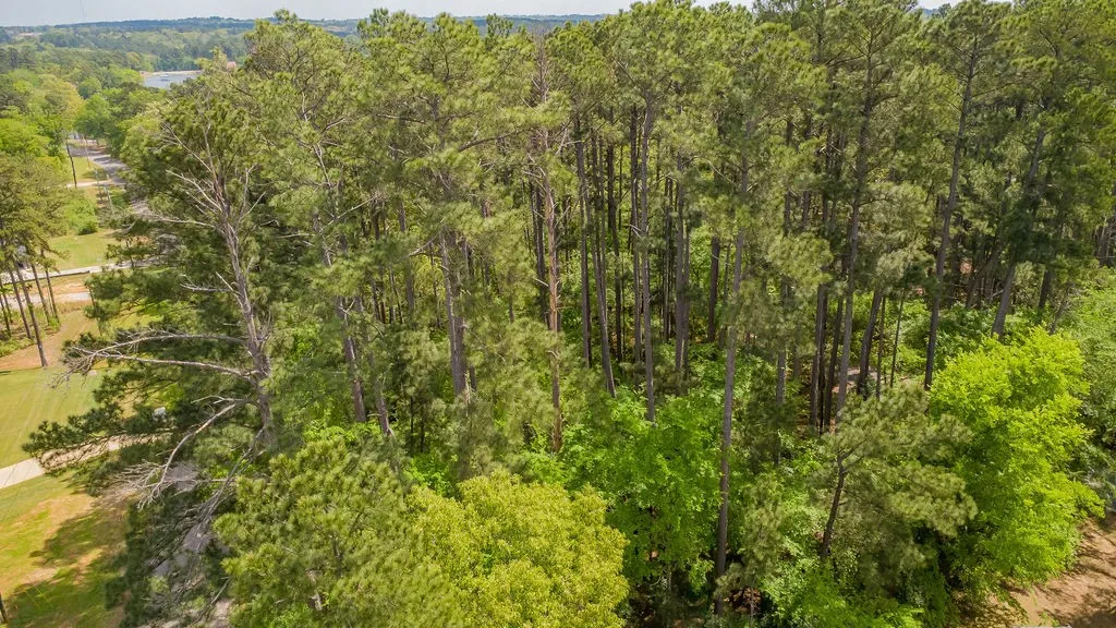 Unimproved Land For Sale in Smith County , 1723 Pineview Lane, Hideaway, Texas 75771, 0, 0, Garage spaces, 0 Sqft, built in 0, mls#21225535, Real Estate Agent in Hideaway, Homes For Sale in Smith county, Homes For Sale in Hideaway, Realtor in Hideaway Texas, Real Estate Brokerage Independent Realty Texas, Luminita Cordes Realtor