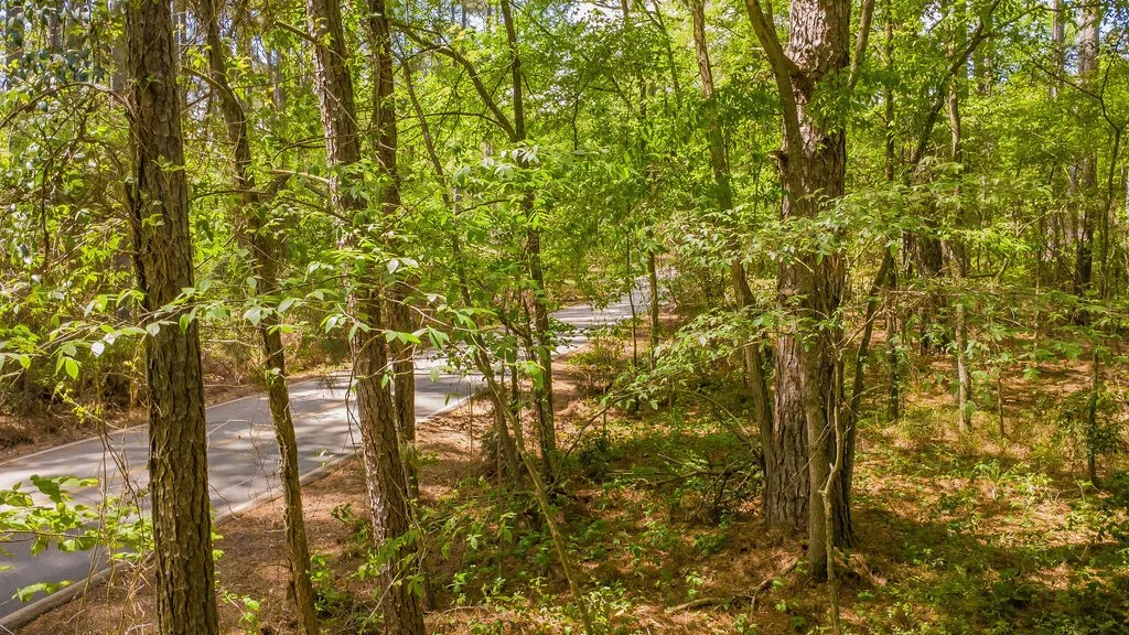 Unimproved Land For Sale in Smith County , 1723 Pineview Lane, Hideaway, Texas 75771, 0, 0, Garage spaces, 0 Sqft, built in 0, mls#21225535, Real Estate Agent in Hideaway, Homes For Sale in Smith county, Homes For Sale in Hideaway, Realtor in Hideaway Texas, Real Estate Brokerage Independent Realty Texas, Luminita Cordes Realtor