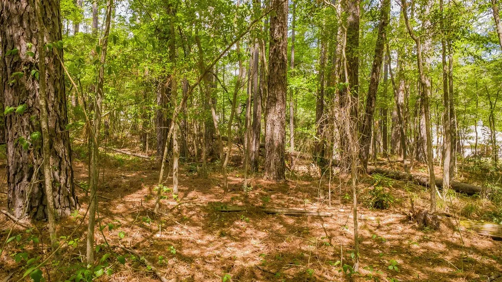 Unimproved Land For Sale in Smith County , 1723 Pineview Lane, Hideaway, Texas 75771, 0, 0, Garage spaces, 0 Sqft, built in 0, mls#21225535, Real Estate Agent in Hideaway, Homes For Sale in Smith county, Homes For Sale in Hideaway, Realtor in Hideaway Texas, Real Estate Brokerage Independent Realty Texas, Luminita Cordes Realtor