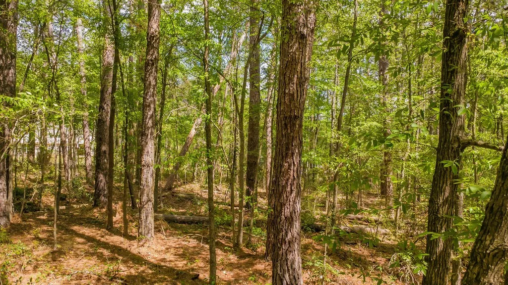 Unimproved Land For Sale in Smith County , 1723 Pineview Lane, Hideaway, Texas 75771, 0, 0, Garage spaces, 0 Sqft, built in 0, mls#21225535, Real Estate Agent in Hideaway, Homes For Sale in Smith county, Homes For Sale in Hideaway, Realtor in Hideaway Texas, Real Estate Brokerage Independent Realty Texas, Luminita Cordes Realtor