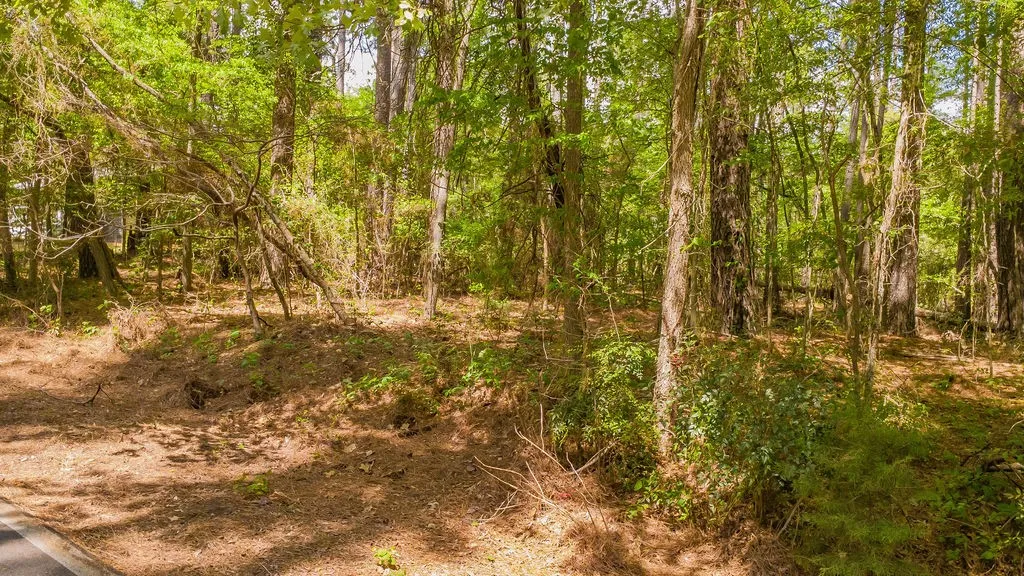 Unimproved Land For Sale in Smith County , 1723 Pineview Lane, Hideaway, Texas 75771, 0, 0, Garage spaces, 0 Sqft, built in 0, mls#21225535, Real Estate Agent in Hideaway, Homes For Sale in Smith county, Homes For Sale in Hideaway, Realtor in Hideaway Texas, Real Estate Brokerage Independent Realty Texas, Luminita Cordes Realtor