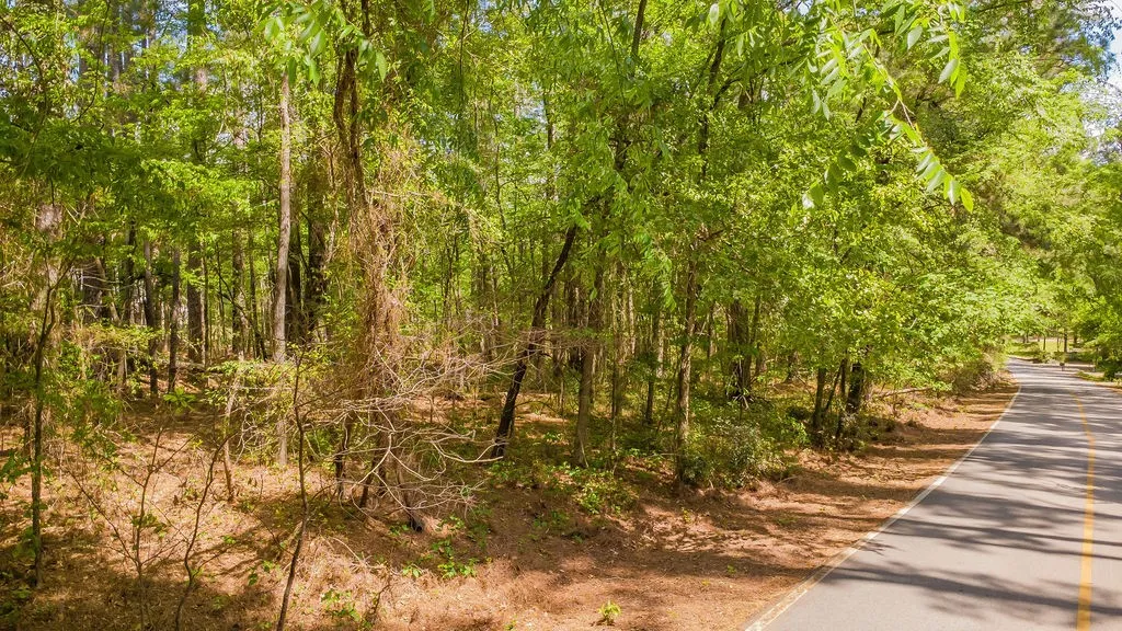 Unimproved Land For Sale in Smith County , 1723 Pineview Lane, Hideaway, Texas 75771, 0, 0, Garage spaces, 0 Sqft, built in 0, mls#21225535, Real Estate Agent in Hideaway, Homes For Sale in Smith county, Homes For Sale in Hideaway, Realtor in Hideaway Texas, Real Estate Brokerage Independent Realty Texas, Luminita Cordes Realtor