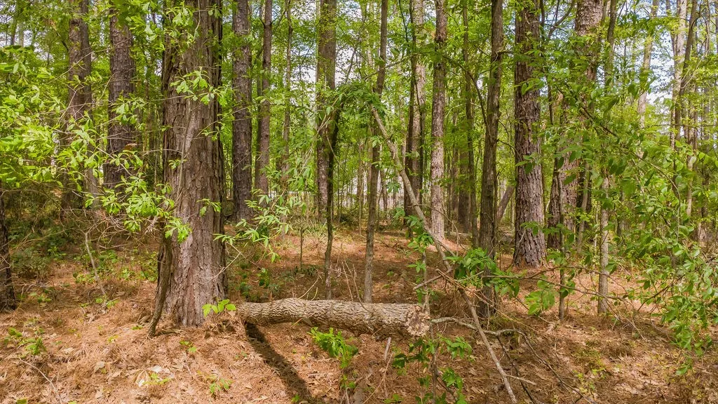 Unimproved Land For Sale in Smith County , 1723 Pineview Lane, Hideaway, Texas 75771, 0, 0, Garage spaces, 0 Sqft, built in 0, mls#21225535, Real Estate Agent in Hideaway, Homes For Sale in Smith county, Homes For Sale in Hideaway, Realtor in Hideaway Texas, Real Estate Brokerage Independent Realty Texas, Luminita Cordes Realtor