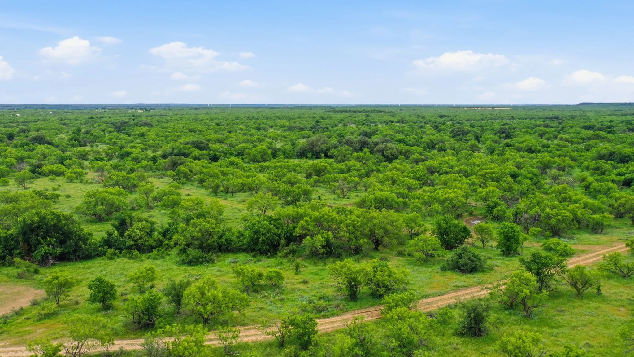 Ranch For Sale in Shackelford County , TBD FM 880, Moran, Texas 76464, 0, 0, Garage spaces, 0 Sqft, built in 0, Price $631,925, mls#21225315, Real Estate Agent in Moran, Homes For Sale in Shackelford county, Homes For Sale in Moran, Realtor in Moran Texas, Real Estate Brokerage Independent Realty Texas, Luminita Cordes Realtor