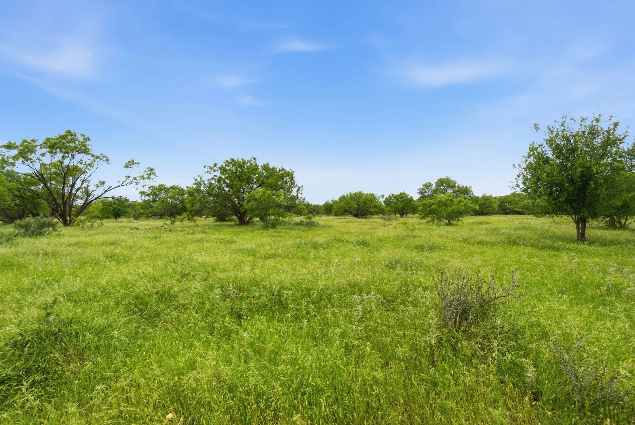 Ranch For Sale in Shackelford County , TBD FM 880, Moran, Texas 76464, 0, 0, Garage spaces, 0 Sqft, built in 0, Price $631,925, mls#21225315, Real Estate Agent in Moran, Homes For Sale in Shackelford county, Homes For Sale in Moran, Realtor in Moran Texas, Real Estate Brokerage Independent Realty Texas, Luminita Cordes Realtor