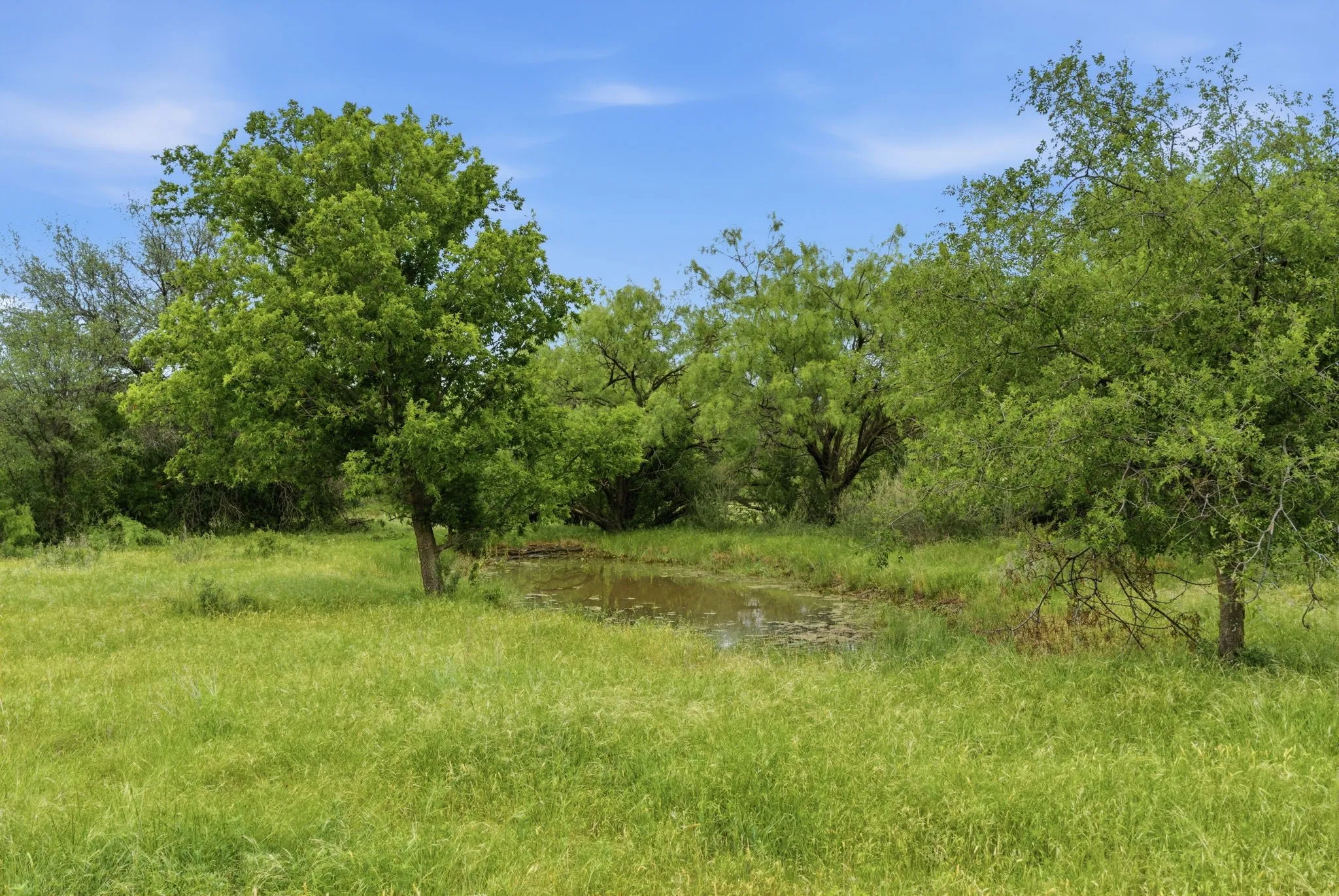 Ranch For Sale in Shackelford County , TBD FM 880, Moran, Texas 76464, 0, 0, Garage spaces, 0 Sqft, built in 0, Price $631,925, mls#21225315, Real Estate Agent in Moran, Homes For Sale in Shackelford county, Homes For Sale in Moran, Realtor in Moran Texas, Real Estate Brokerage Independent Realty Texas, Luminita Cordes Realtor