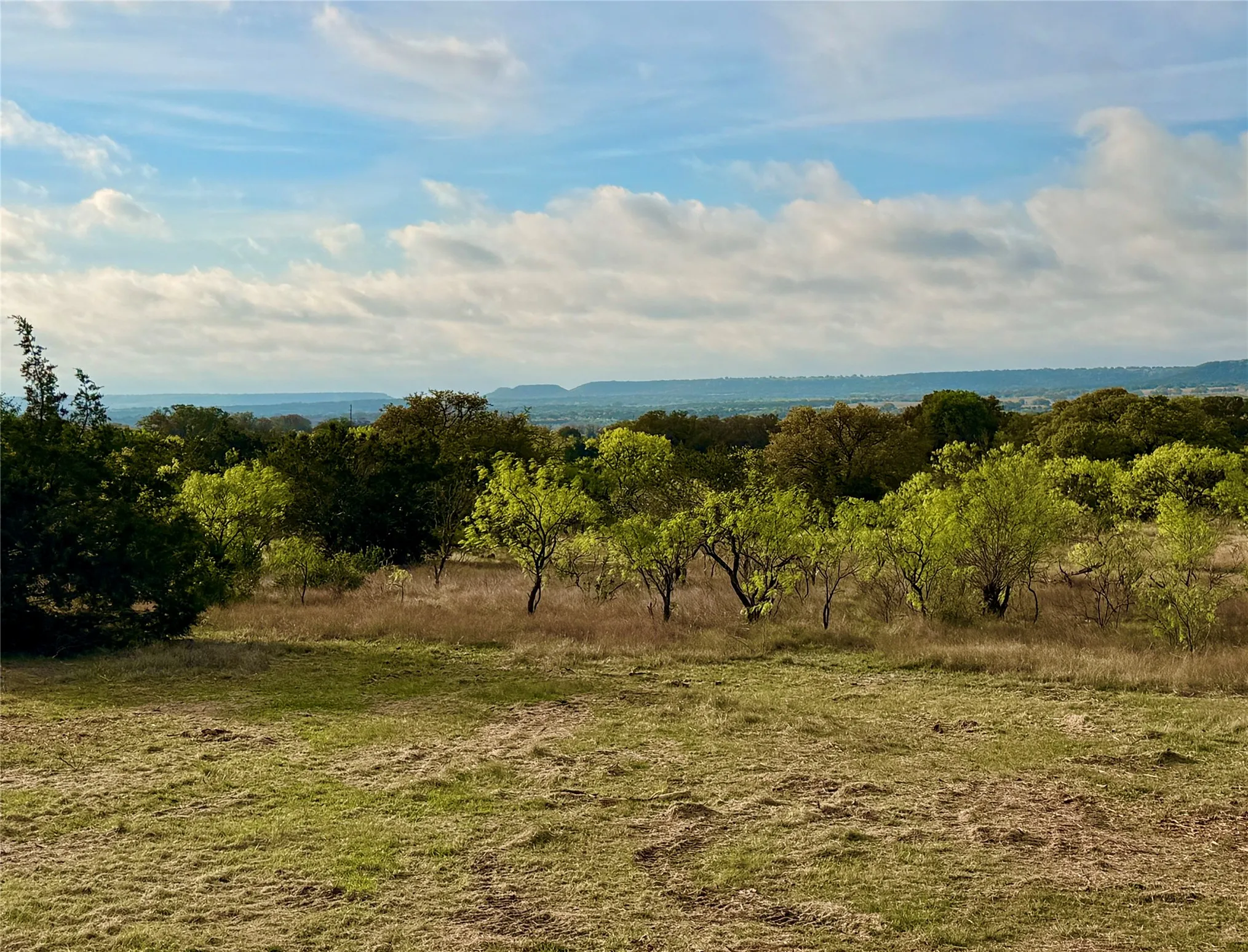 Ranch For Sale in Comanche County , TBD CR 253, Comanche, Texas 76442, 0, 0, Garage spaces, 0 Sqft, built in 0, Price $655,000, mls#21225570, Real Estate Agent in Comanche, Homes For Sale in Comanche county, Homes For Sale in Comanche, Realtor in Comanche Texas, Real Estate Brokerage Independent Realty Texas, Luminita Cordes Realtor