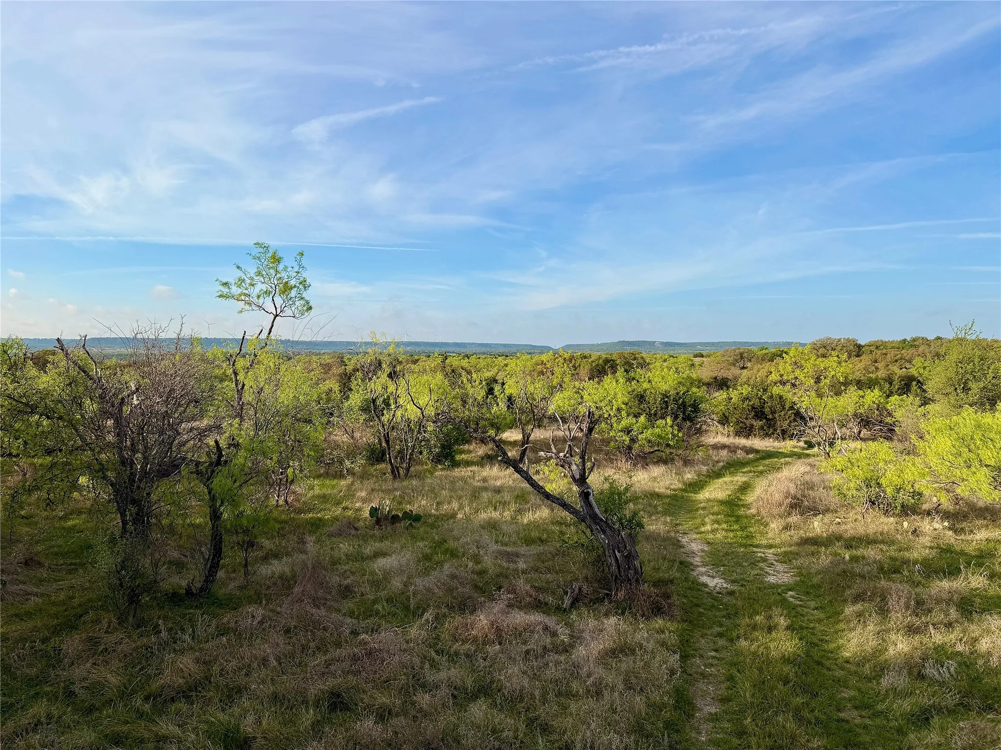 Ranch For Sale in Comanche County , TBD CR 253, Comanche, Texas 76442, 0, 0, Garage spaces, 0 Sqft, built in 0, Price $655,000, mls#21225570, Real Estate Agent in Comanche, Homes For Sale in Comanche county, Homes For Sale in Comanche, Realtor in Comanche Texas, Real Estate Brokerage Independent Realty Texas, Luminita Cordes Realtor