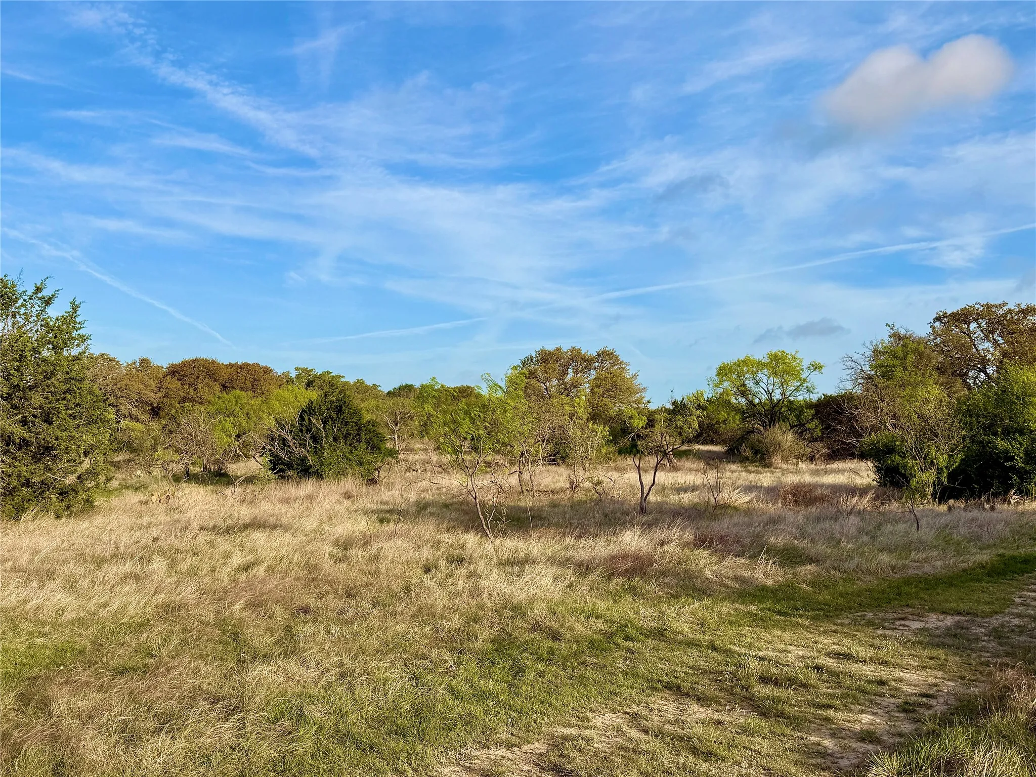 Ranch For Sale in Comanche County , TBD CR 253, Comanche, Texas 76442, 0, 0, Garage spaces, 0 Sqft, built in 0, Price $655,000, mls#21225570, Real Estate Agent in Comanche, Homes For Sale in Comanche county, Homes For Sale in Comanche, Realtor in Comanche Texas, Real Estate Brokerage Independent Realty Texas, Luminita Cordes Realtor