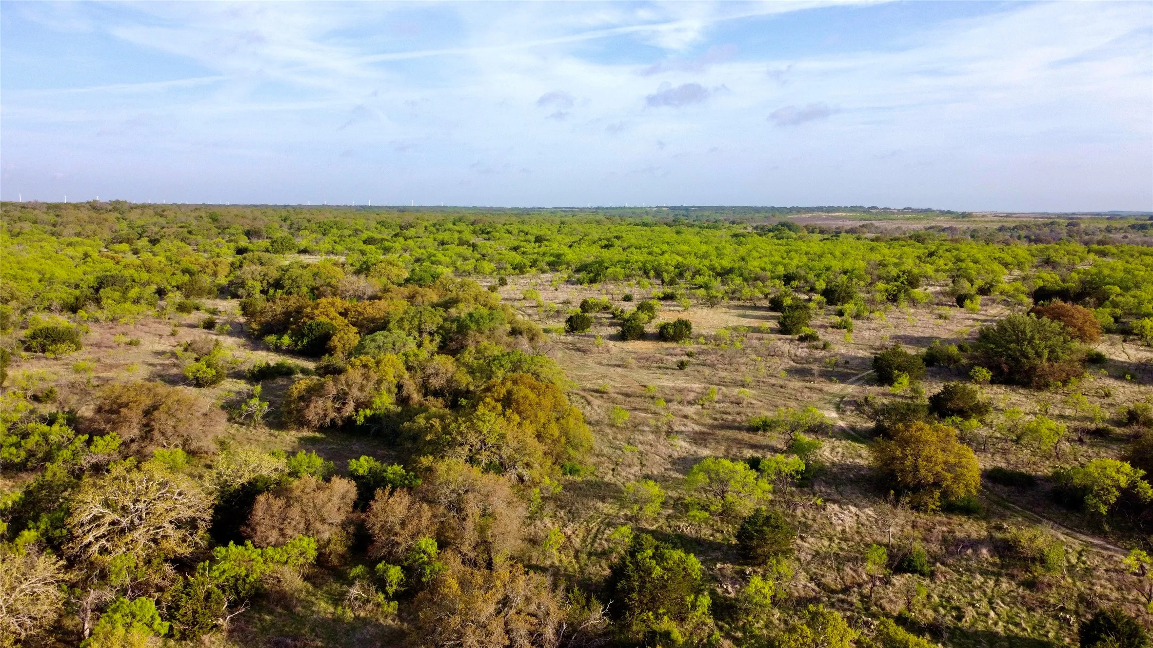 Ranch For Sale in Comanche County , TBD CR 253, Comanche, Texas 76442, 0, 0, Garage spaces, 0 Sqft, built in 0, Price $655,000, mls#21225570, Real Estate Agent in Comanche, Homes For Sale in Comanche county, Homes For Sale in Comanche, Realtor in Comanche Texas, Real Estate Brokerage Independent Realty Texas, Luminita Cordes Realtor