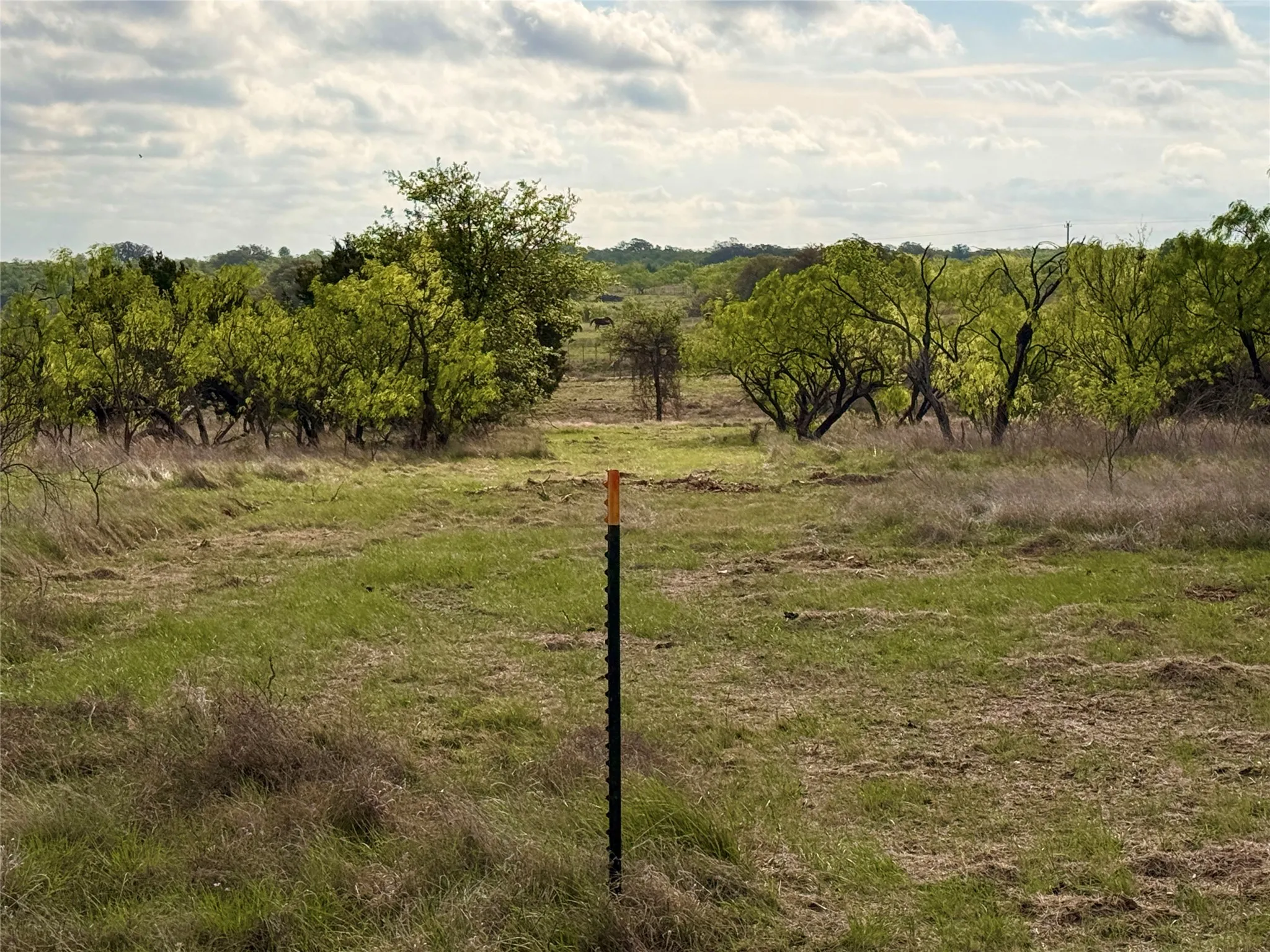 Ranch For Sale in Comanche County , TBD CR 253, Comanche, Texas 76442, 0, 0, Garage spaces, 0 Sqft, built in 0, Price $655,000, mls#21225570, Real Estate Agent in Comanche, Homes For Sale in Comanche county, Homes For Sale in Comanche, Realtor in Comanche Texas, Real Estate Brokerage Independent Realty Texas, Luminita Cordes Realtor