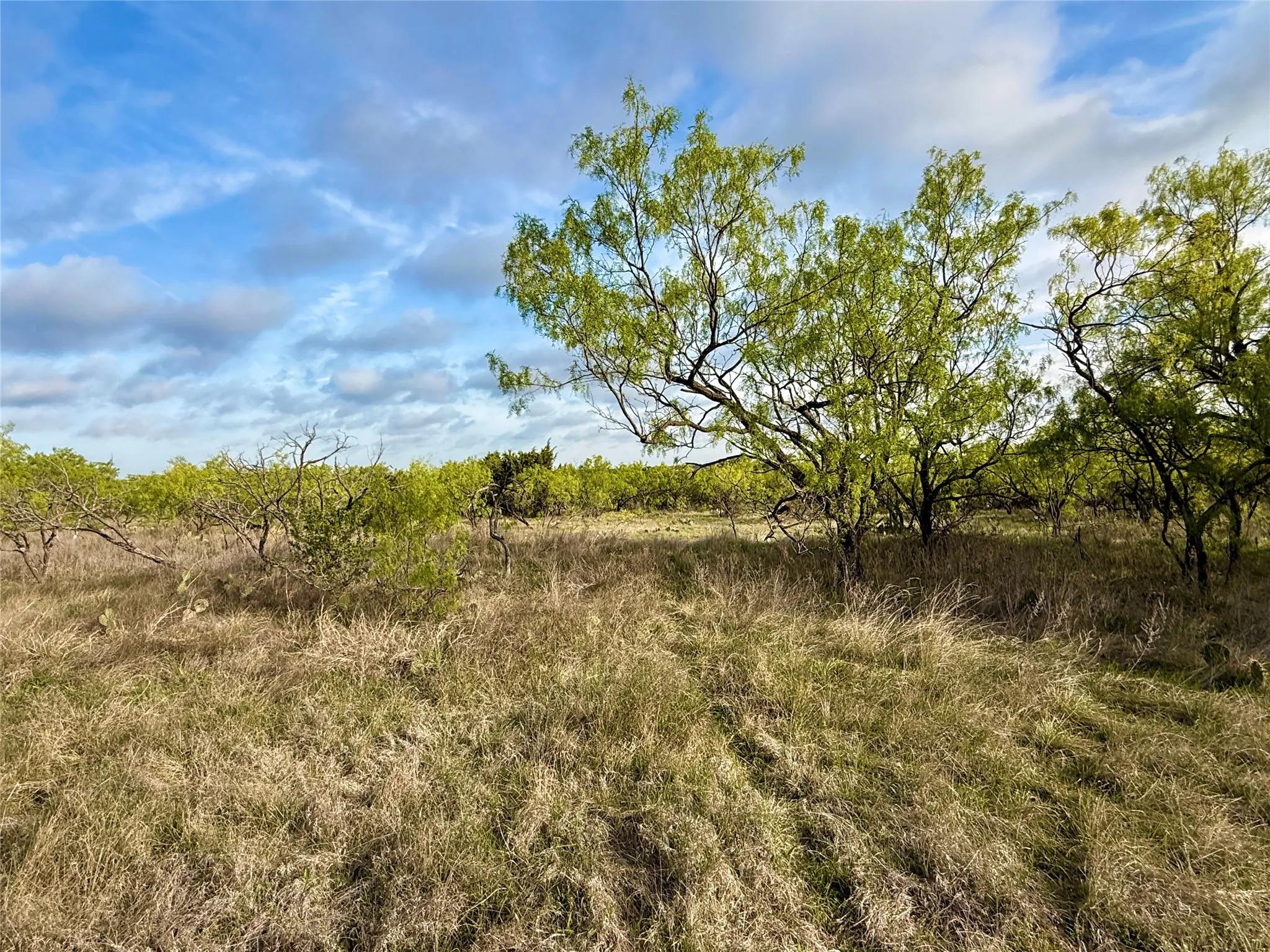 Ranch For Sale in Comanche County , TBD CR 253, Comanche, Texas 76442, 0, 0, Garage spaces, 0 Sqft, built in 0, Price $655,000, mls#21225570, Real Estate Agent in Comanche, Homes For Sale in Comanche county, Homes For Sale in Comanche, Realtor in Comanche Texas, Real Estate Brokerage Independent Realty Texas, Luminita Cordes Realtor