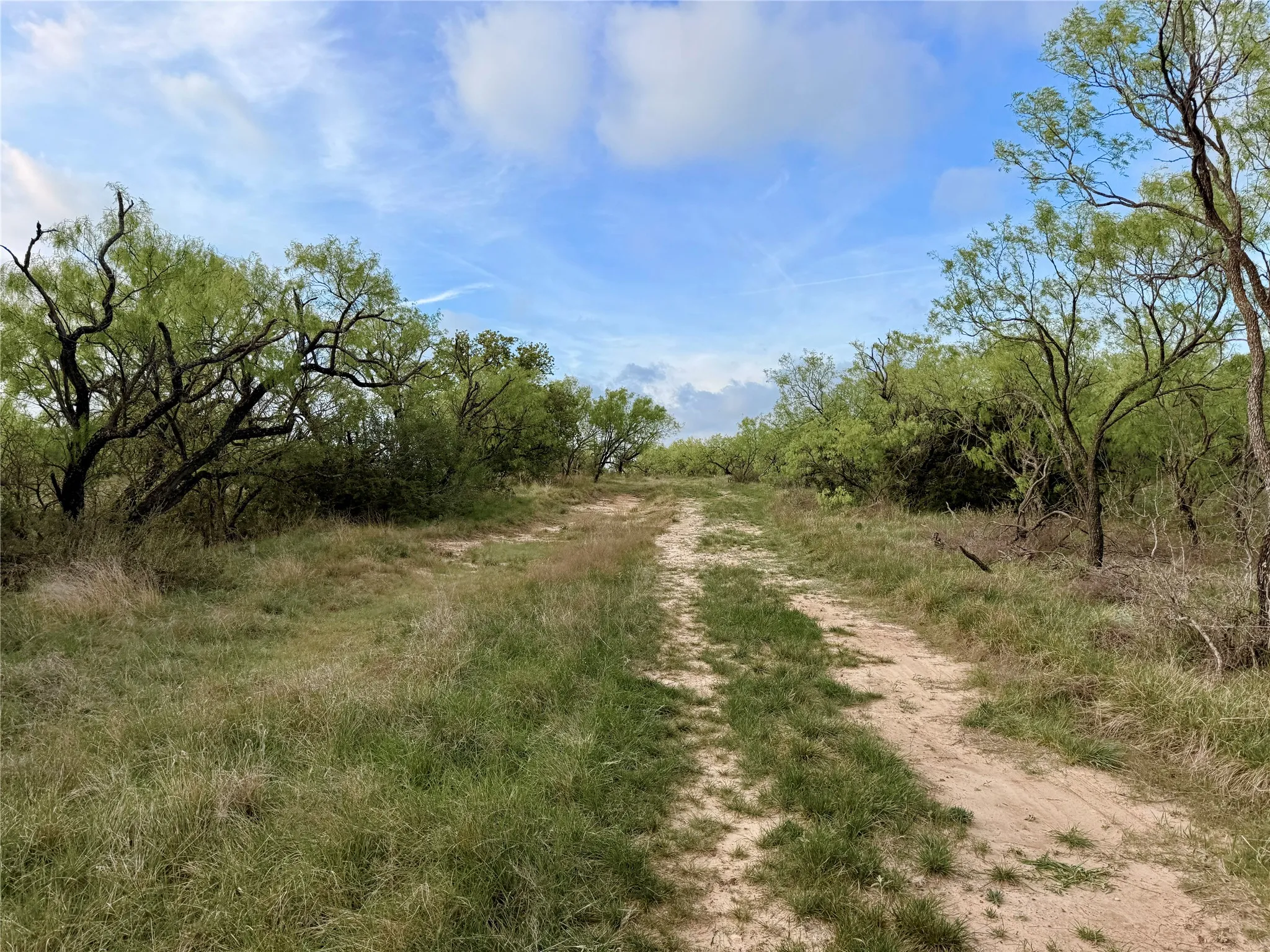 Ranch For Sale in Comanche County , TBD CR 253, Comanche, Texas 76442, 0, 0, Garage spaces, 0 Sqft, built in 0, Price $655,000, mls#21225570, Real Estate Agent in Comanche, Homes For Sale in Comanche county, Homes For Sale in Comanche, Realtor in Comanche Texas, Real Estate Brokerage Independent Realty Texas, Luminita Cordes Realtor
