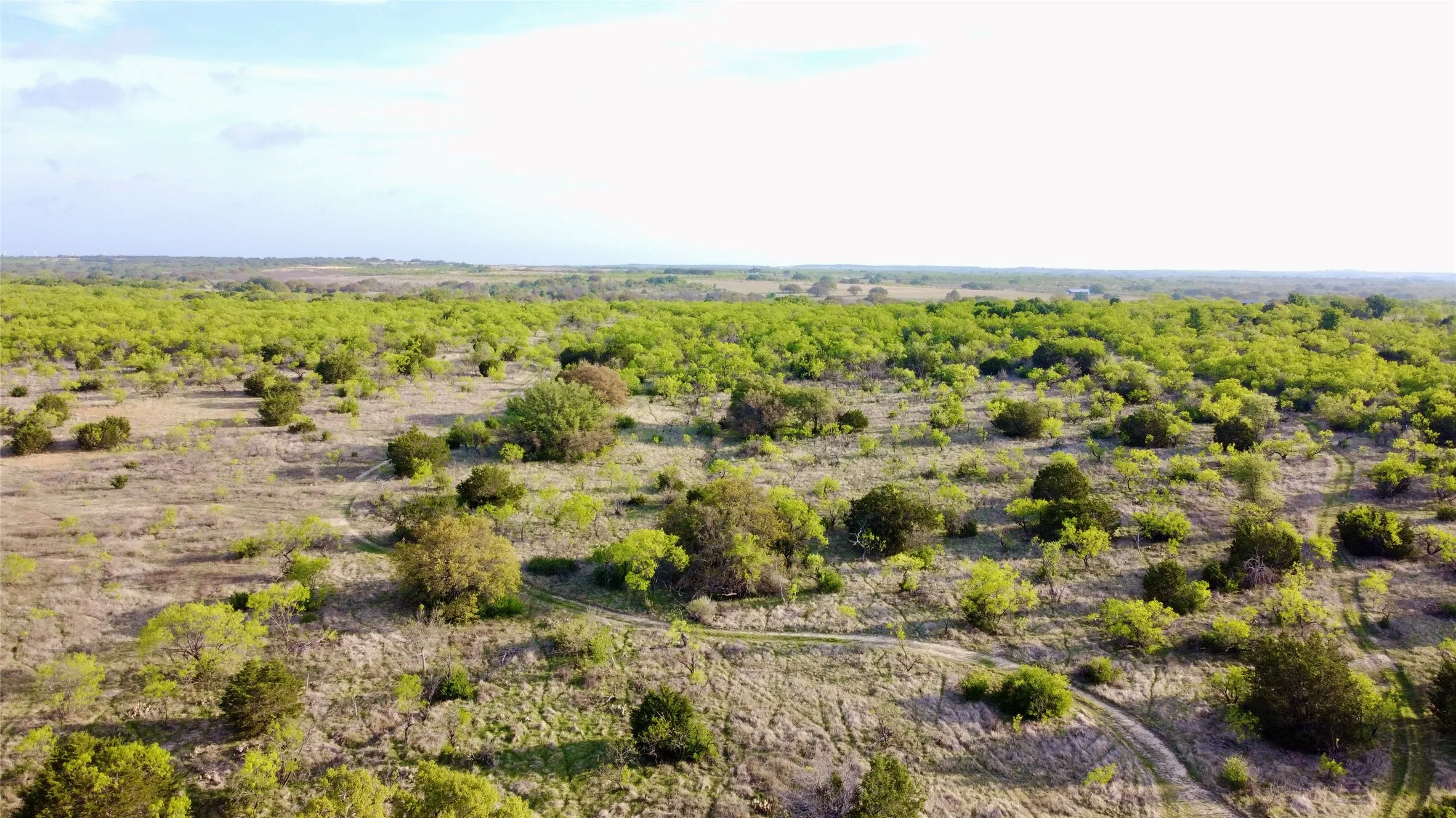 Ranch For Sale in Comanche County , TBD CR 253, Comanche, Texas 76442, 0, 0, Garage spaces, 0 Sqft, built in 0, Price $655,000, mls#21225570, Real Estate Agent in Comanche, Homes For Sale in Comanche county, Homes For Sale in Comanche, Realtor in Comanche Texas, Real Estate Brokerage Independent Realty Texas, Luminita Cordes Realtor