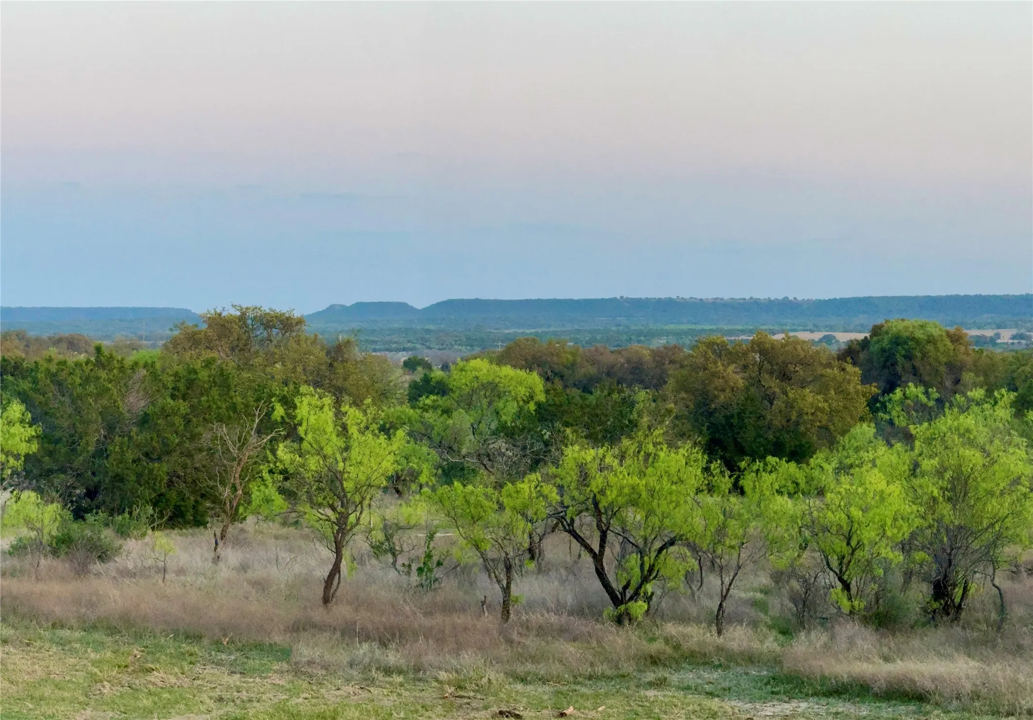 Ranch For Sale in Comanche County , TBD CR 253, Comanche, Texas 76442, 0, 0, Garage spaces, 0 Sqft, built in 0, Price $655,000, mls#21225570, Real Estate Agent in Comanche, Homes For Sale in Comanche county, Homes For Sale in Comanche, Realtor in Comanche Texas, Real Estate Brokerage Independent Realty Texas, Luminita Cordes Realtor