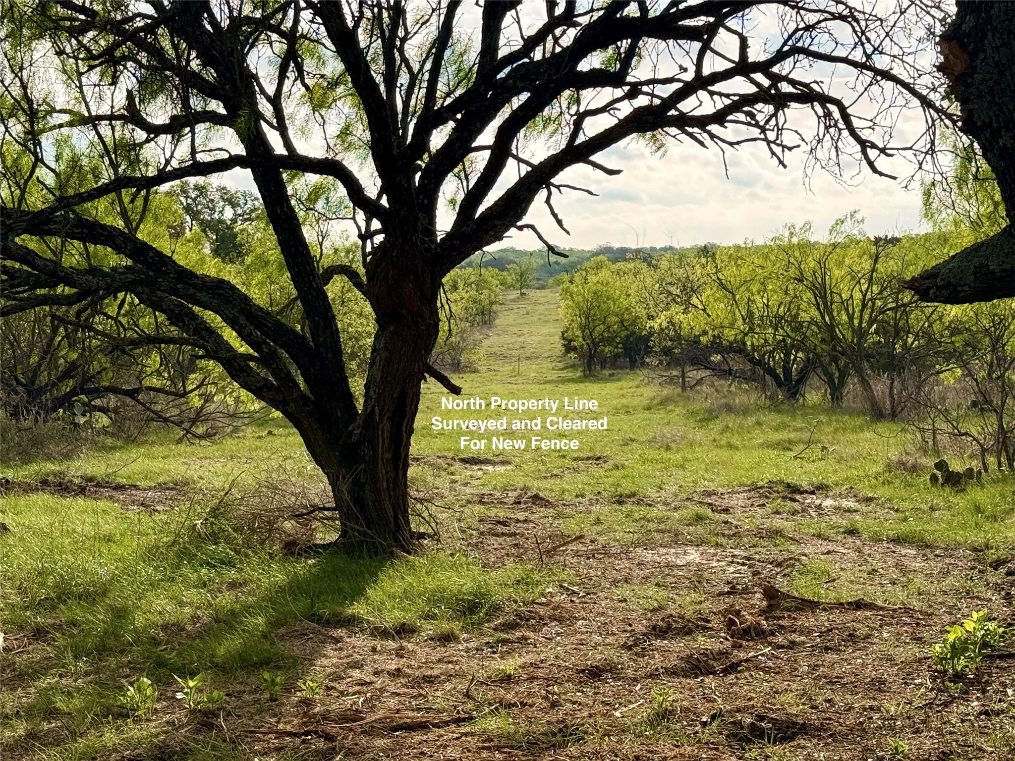 Ranch For Sale in Comanche County , TBD CR 253, Comanche, Texas 76442, 0, 0, Garage spaces, 0 Sqft, built in 0, Price $655,000, mls#21225570, Real Estate Agent in Comanche, Homes For Sale in Comanche county, Homes For Sale in Comanche, Realtor in Comanche Texas, Real Estate Brokerage Independent Realty Texas, Luminita Cordes Realtor
