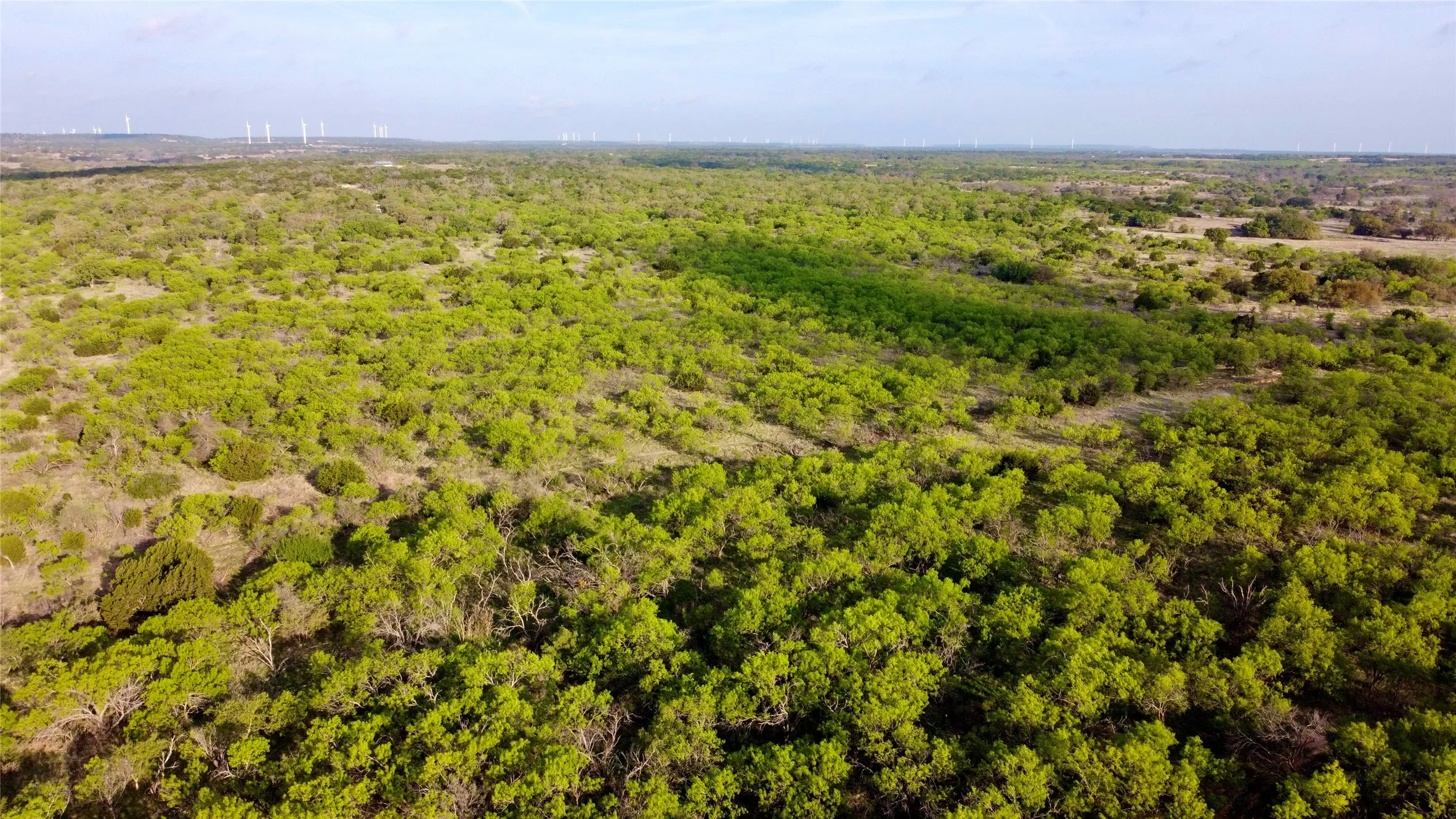 Ranch For Sale in Comanche County , TBD CR 253, Comanche, Texas 76442, 0, 0, Garage spaces, 0 Sqft, built in 0, Price $655,000, mls#21225570, Real Estate Agent in Comanche, Homes For Sale in Comanche county, Homes For Sale in Comanche, Realtor in Comanche Texas, Real Estate Brokerage Independent Realty Texas, Luminita Cordes Realtor