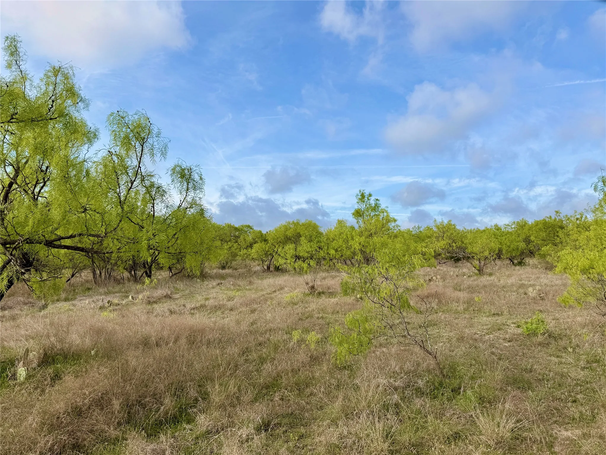 Ranch For Sale in Comanche County , TBD CR 253, Comanche, Texas 76442, 0, 0, Garage spaces, 0 Sqft, built in 0, Price $655,000, mls#21225570, Real Estate Agent in Comanche, Homes For Sale in Comanche county, Homes For Sale in Comanche, Realtor in Comanche Texas, Real Estate Brokerage Independent Realty Texas, Luminita Cordes Realtor