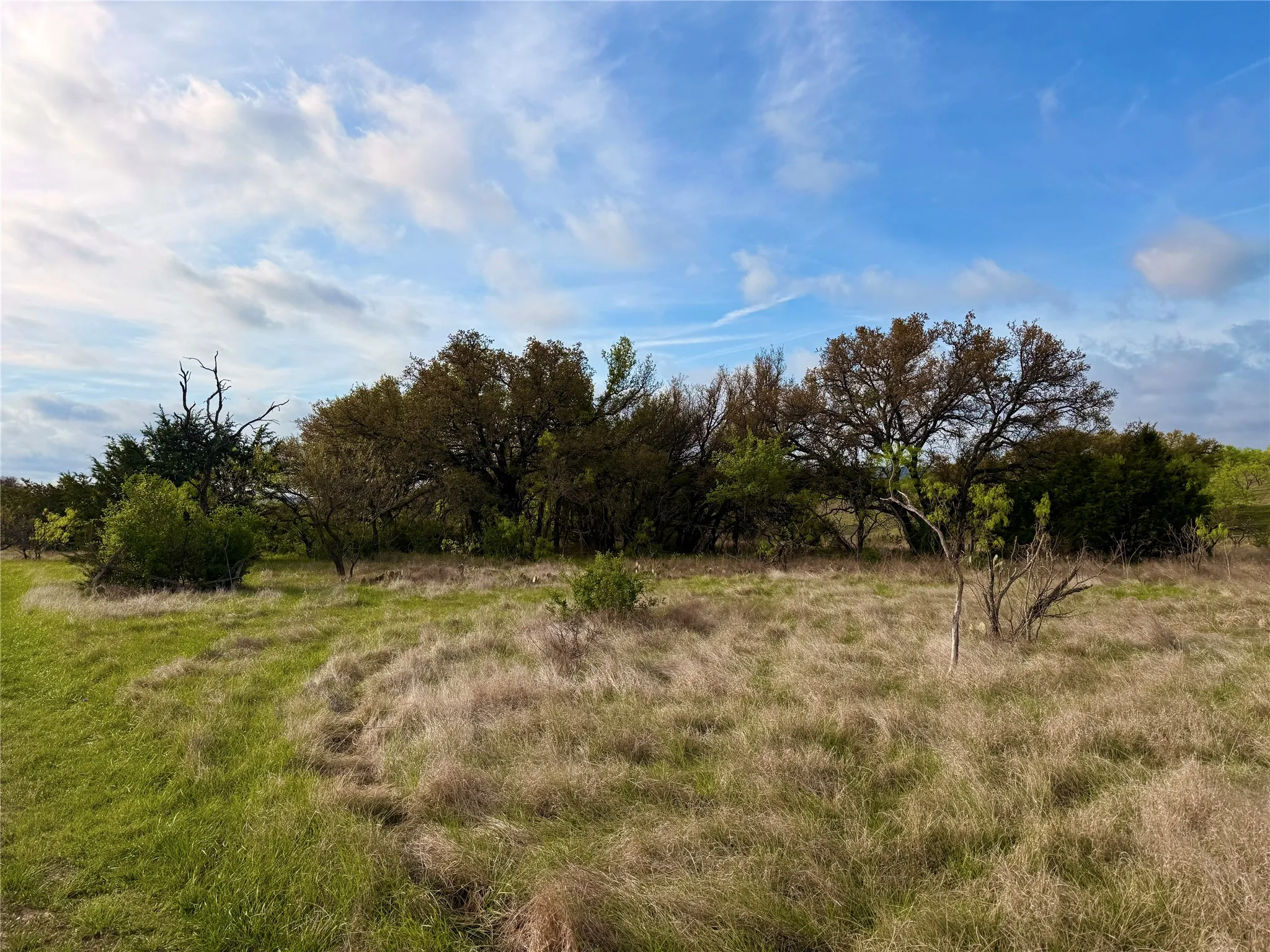 Ranch For Sale in Comanche County , TBD CR 253, Comanche, Texas 76442, 0, 0, Garage spaces, 0 Sqft, built in 0, Price $655,000, mls#21225570, Real Estate Agent in Comanche, Homes For Sale in Comanche county, Homes For Sale in Comanche, Realtor in Comanche Texas, Real Estate Brokerage Independent Realty Texas, Luminita Cordes Realtor