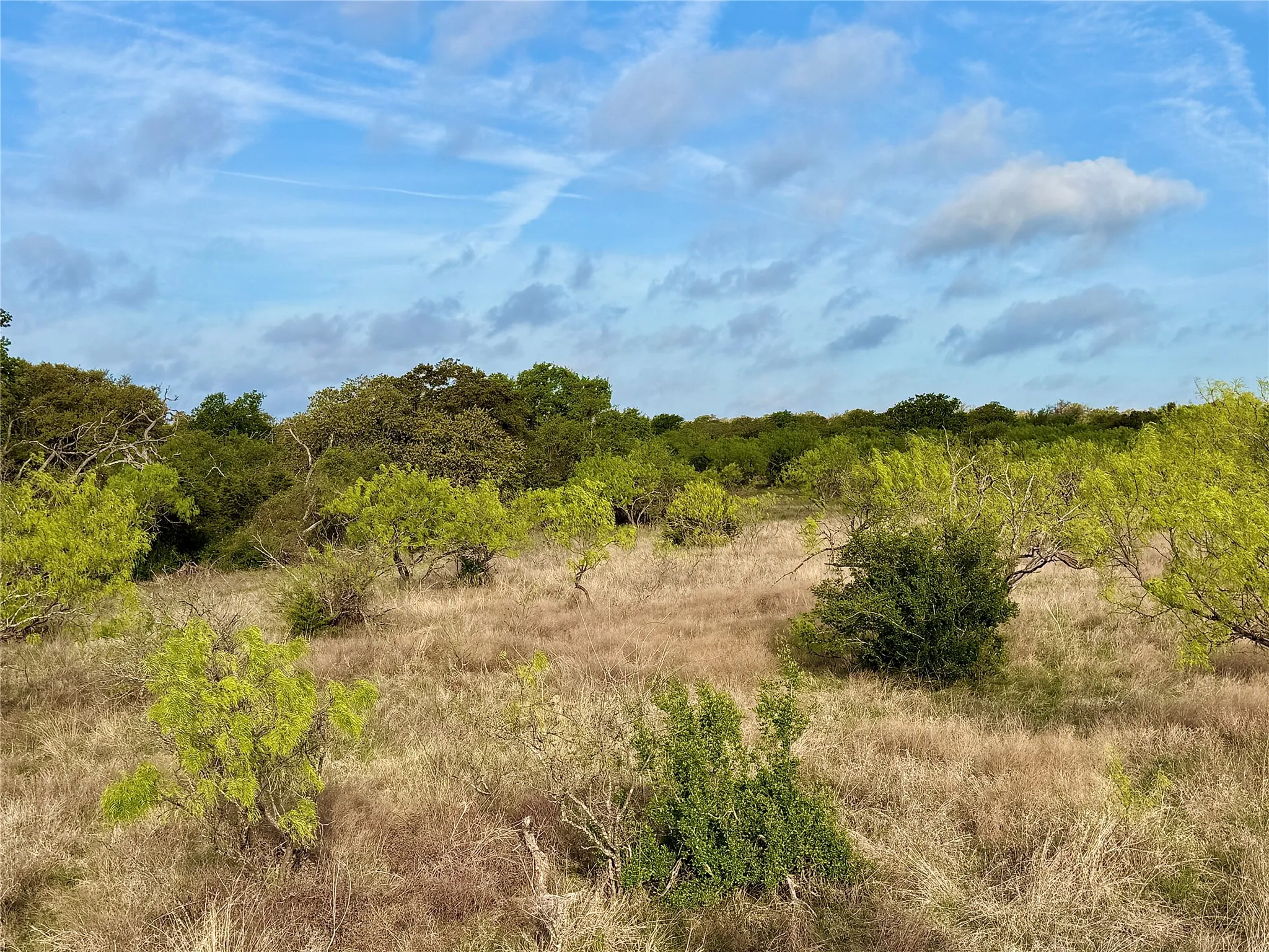 Ranch For Sale in Comanche County , TBD CR 253, Comanche, Texas 76442, 0, 0, Garage spaces, 0 Sqft, built in 0, Price $655,000, mls#21225570, Real Estate Agent in Comanche, Homes For Sale in Comanche county, Homes For Sale in Comanche, Realtor in Comanche Texas, Real Estate Brokerage Independent Realty Texas, Luminita Cordes Realtor