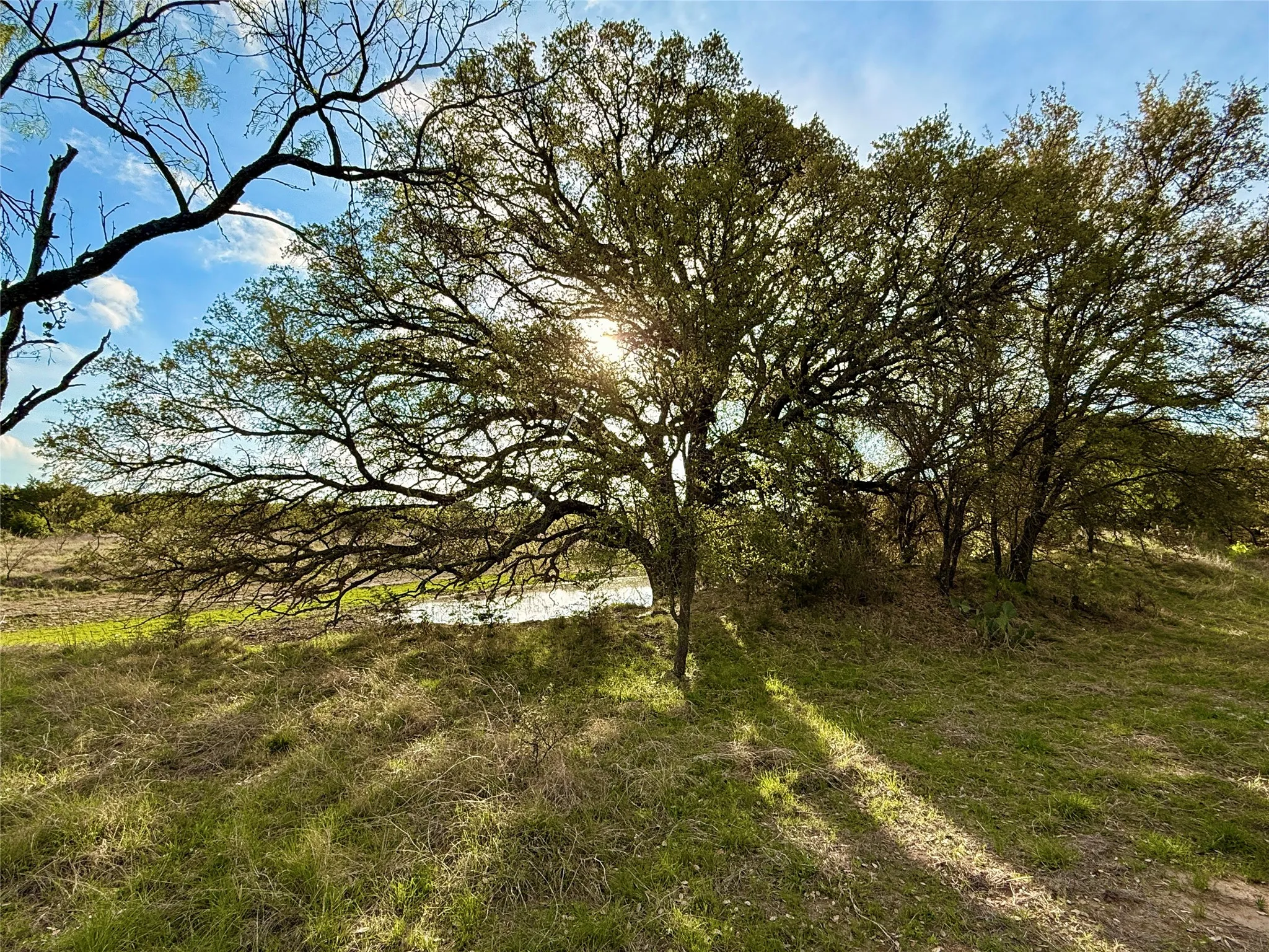 Ranch For Sale in Comanche County , TBD CR 253, Comanche, Texas 76442, 0, 0, Garage spaces, 0 Sqft, built in 0, Price $655,000, mls#21225570, Real Estate Agent in Comanche, Homes For Sale in Comanche county, Homes For Sale in Comanche, Realtor in Comanche Texas, Real Estate Brokerage Independent Realty Texas, Luminita Cordes Realtor