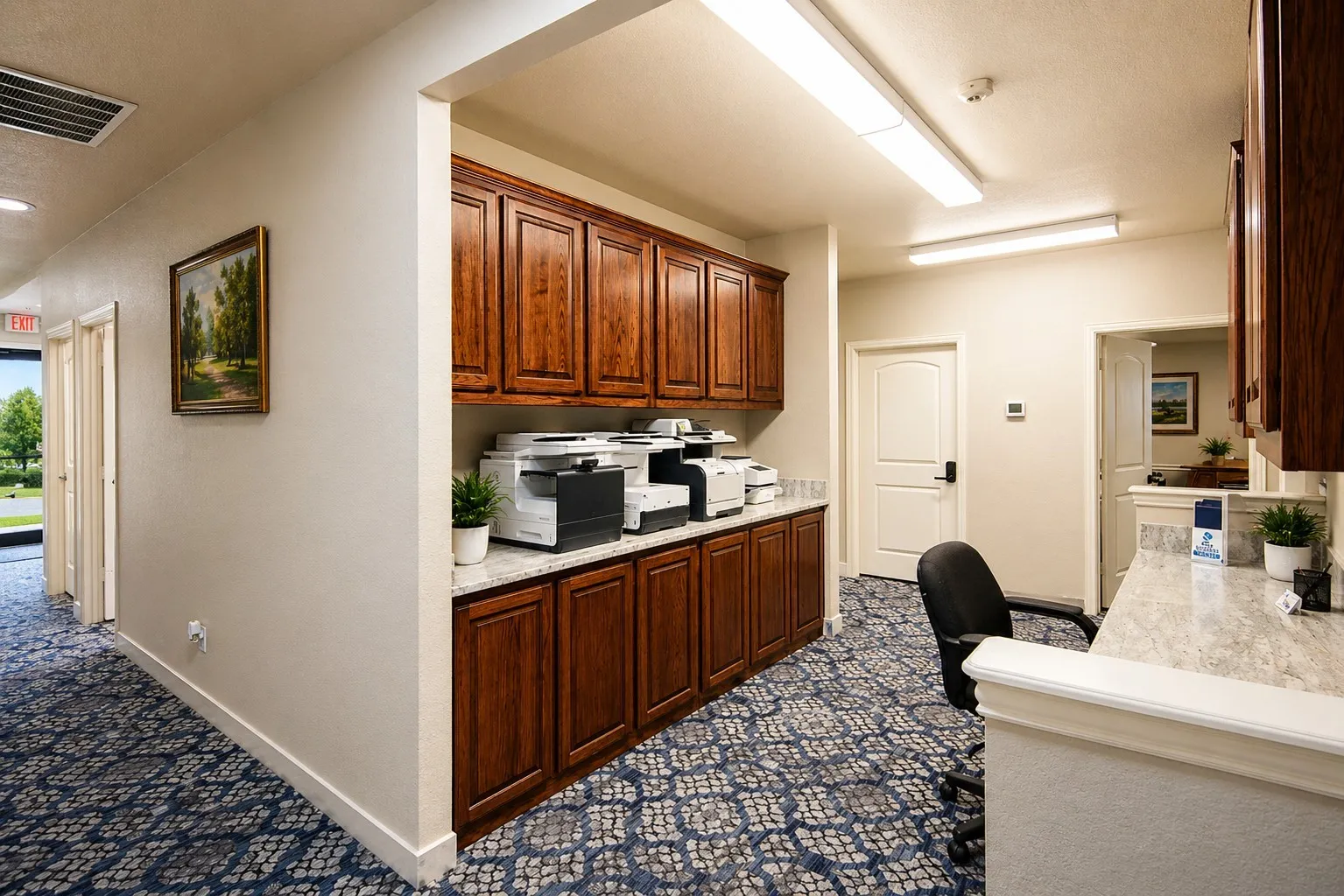 Functional corridor featuring rich wood-finish cabinetry, light-toned countertops, and patterned carpeting