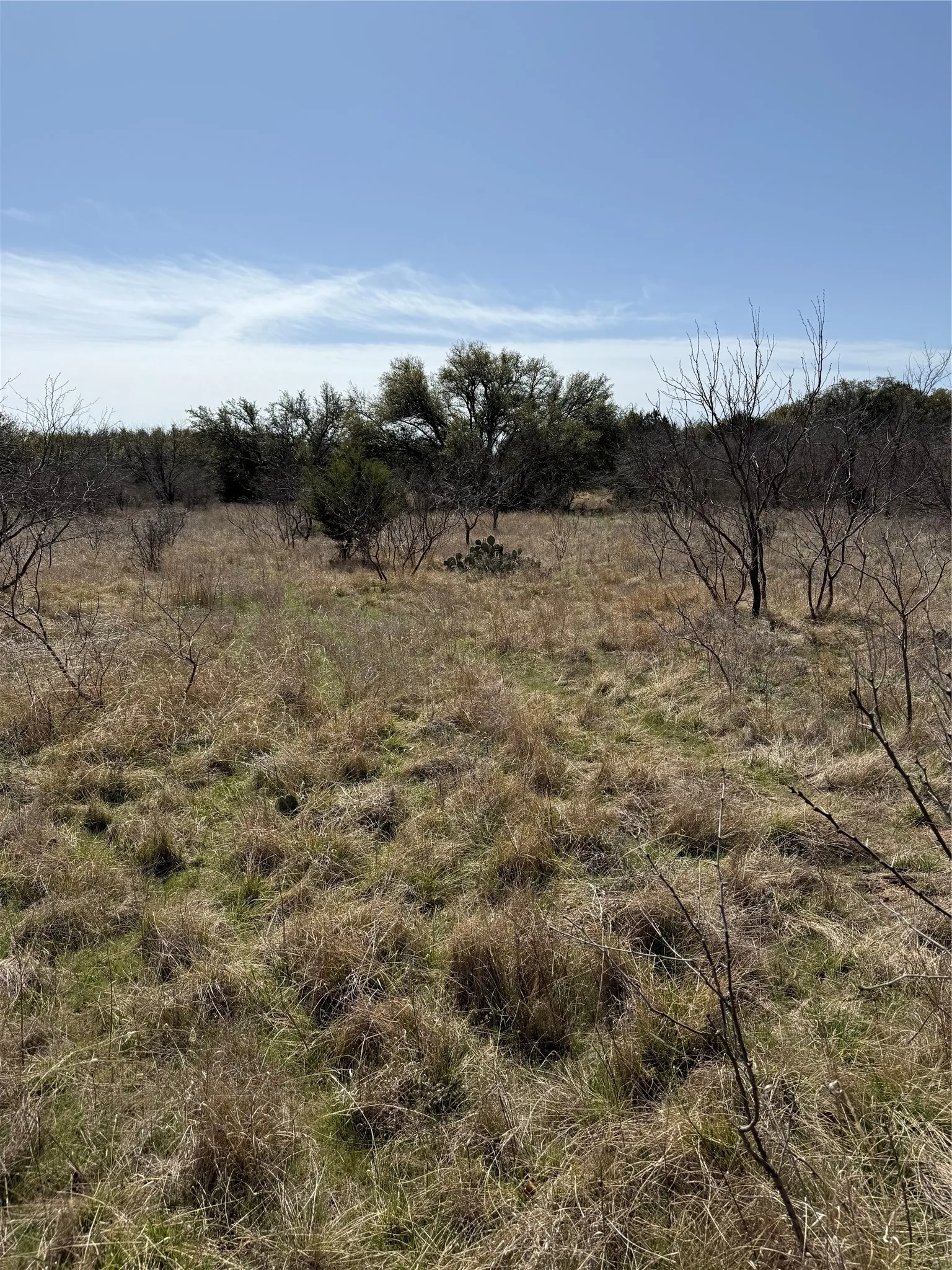 Unimproved Land For Sale in Stephens County , N/A Wayland Ranches, Breckenridge, Texas 76424, 0, 0, Garage spaces, 0 Sqft, built in 0, mls#21225734, Real Estate Agent in Breckenridge, Homes For Sale in Stephens county, Homes For Sale in Breckenridge, Realtor in Breckenridge Texas, Real Estate Brokerage Independent Realty Texas, Luminita Cordes Realtor