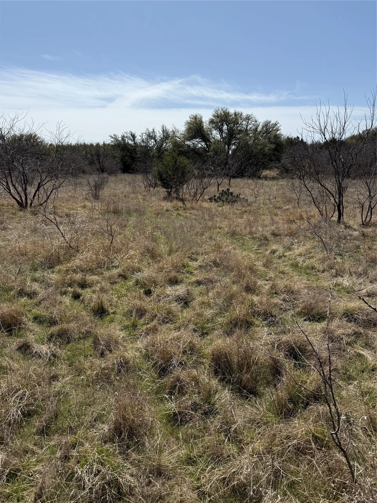 Unimproved Land For Sale in Stephens County , N/A Wayland Ranches, Breckenridge, Texas 76424, 0, 0, Garage spaces, 0 Sqft, built in 0, mls#21225734, Real Estate Agent in Breckenridge, Homes For Sale in Stephens county, Homes For Sale in Breckenridge, Realtor in Breckenridge Texas, Real Estate Brokerage Independent Realty Texas, Luminita Cordes Realtor