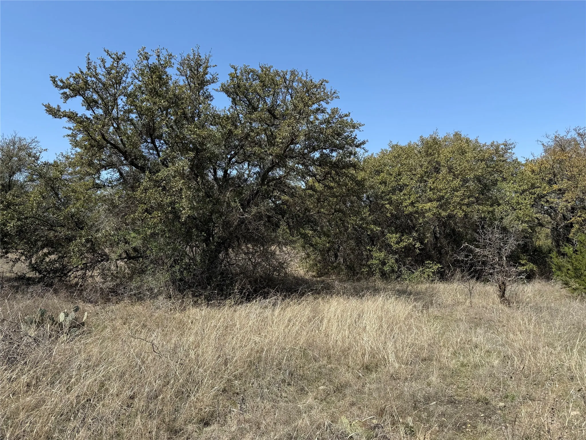 Unimproved Land For Sale in Stephens County , N/A Wayland Ranches, Breckenridge, Texas 76424, 0, 0, Garage spaces, 0 Sqft, built in 0, mls#21225734, Real Estate Agent in Breckenridge, Homes For Sale in Stephens county, Homes For Sale in Breckenridge, Realtor in Breckenridge Texas, Real Estate Brokerage Independent Realty Texas, Luminita Cordes Realtor