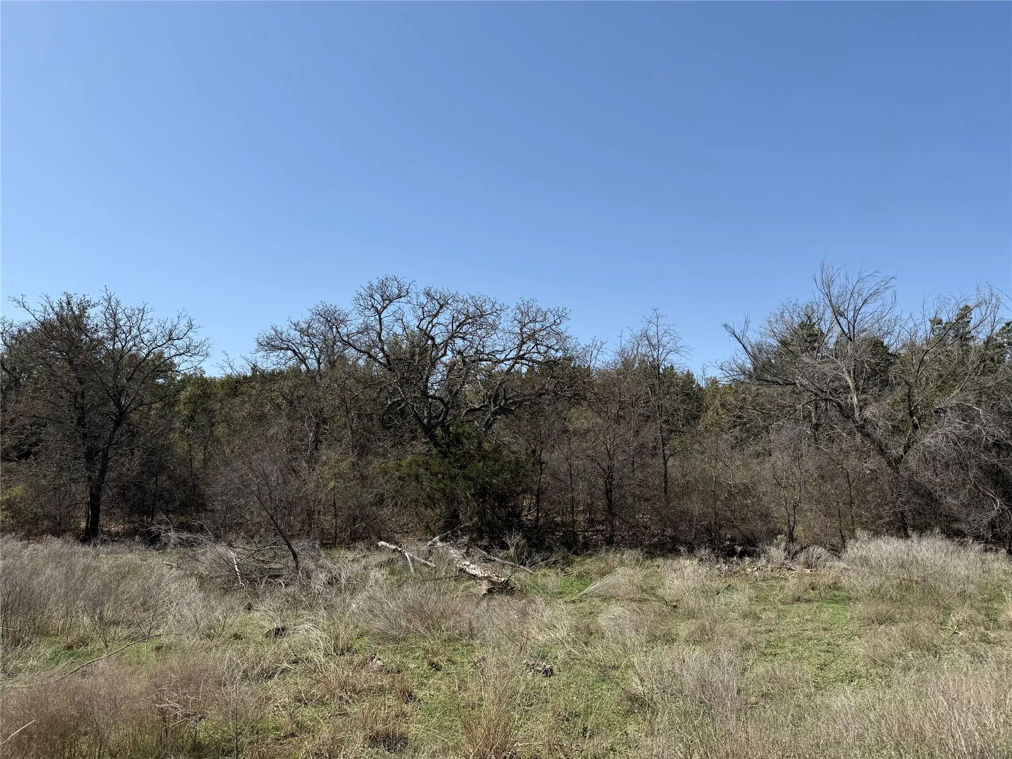 Unimproved Land For Sale in Stephens County , N/A Wayland Ranches, Breckenridge, Texas 76424, 0, 0, Garage spaces, 0 Sqft, built in 0, mls#21225734, Real Estate Agent in Breckenridge, Homes For Sale in Stephens county, Homes For Sale in Breckenridge, Realtor in Breckenridge Texas, Real Estate Brokerage Independent Realty Texas, Luminita Cordes Realtor