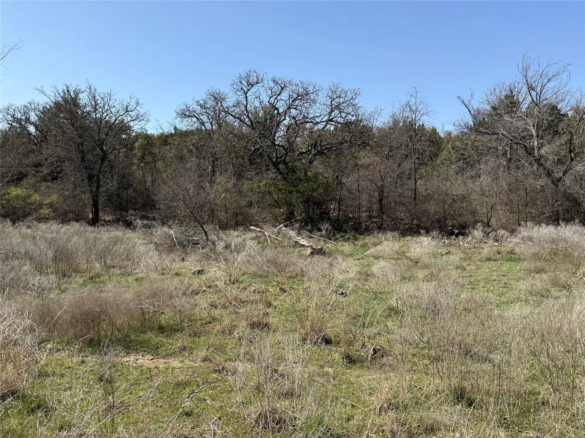 Unimproved Land For Sale in Stephens County , N/A Wayland Ranches, Breckenridge, Texas 76424, 0, 0, Garage spaces, 0 Sqft, built in 0, mls#21225734, Real Estate Agent in Breckenridge, Homes For Sale in Stephens county, Homes For Sale in Breckenridge, Realtor in Breckenridge Texas, Real Estate Brokerage Independent Realty Texas, Luminita Cordes Realtor