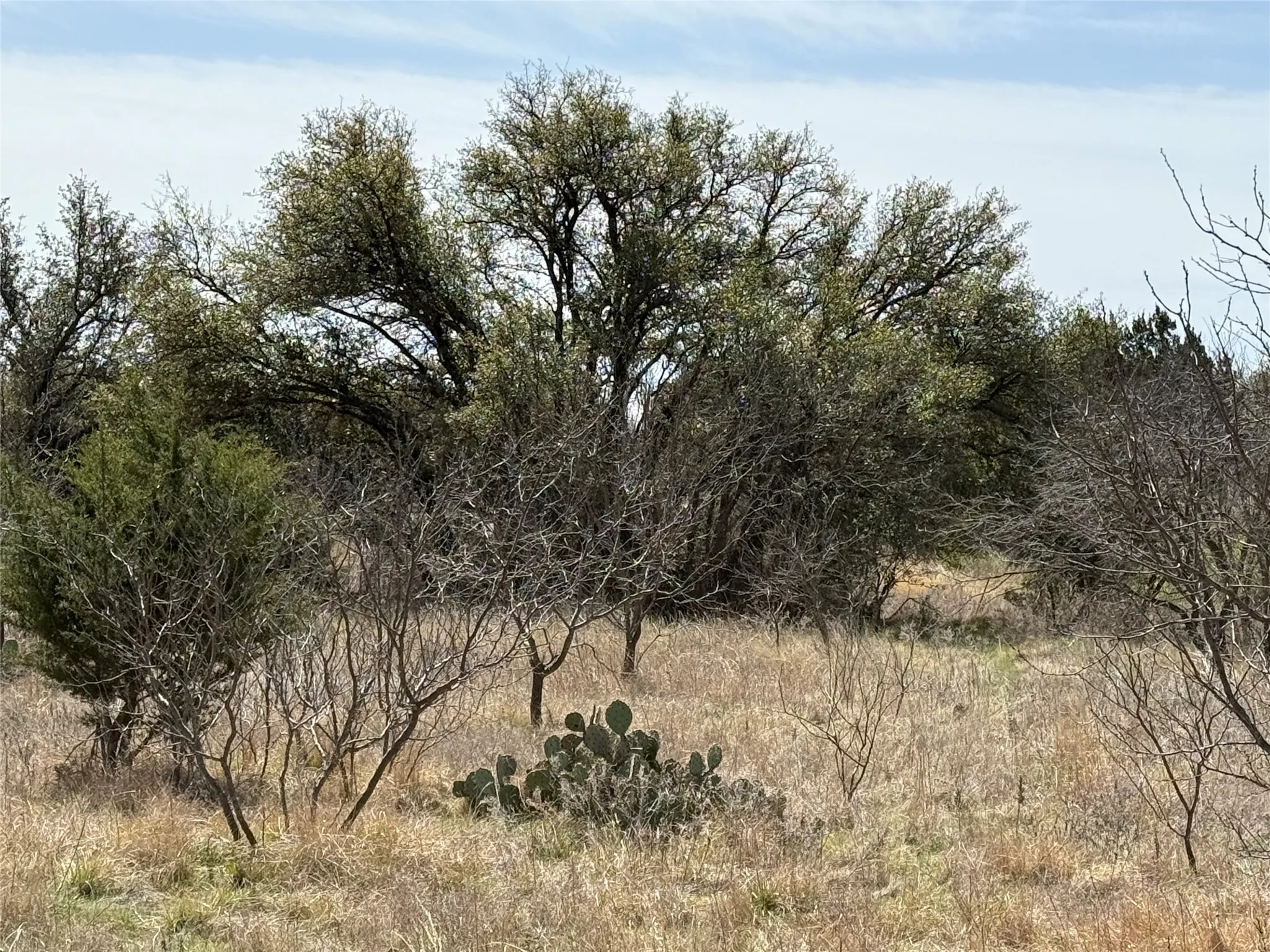 Unimproved Land For Sale in Stephens County , N/A Wayland Ranches, Breckenridge, Texas 76424, 0, 0, Garage spaces, 0 Sqft, built in 0, mls#21225734, Real Estate Agent in Breckenridge, Homes For Sale in Stephens county, Homes For Sale in Breckenridge, Realtor in Breckenridge Texas, Real Estate Brokerage Independent Realty Texas, Luminita Cordes Realtor